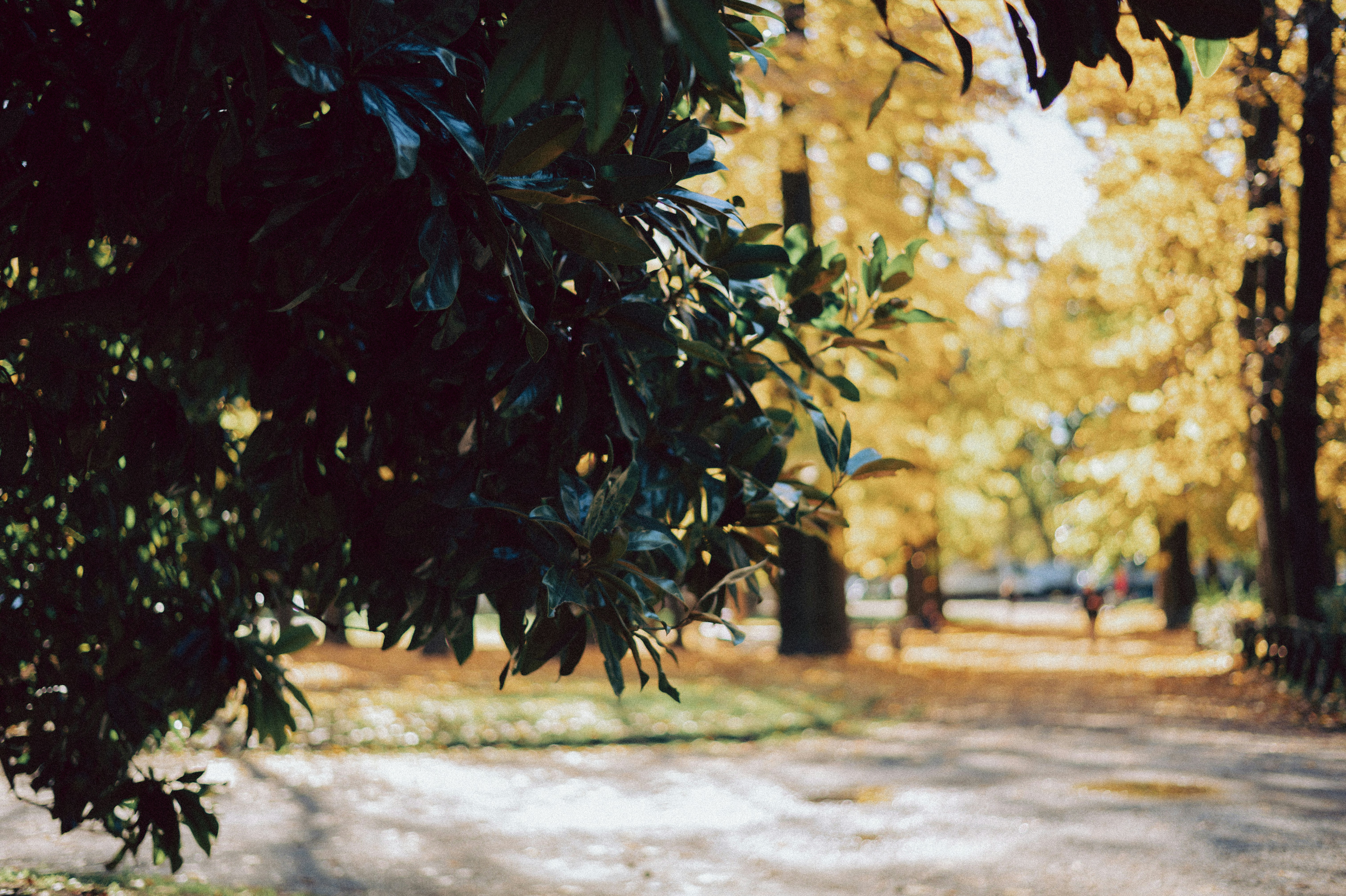 Photo by anamilanofoto