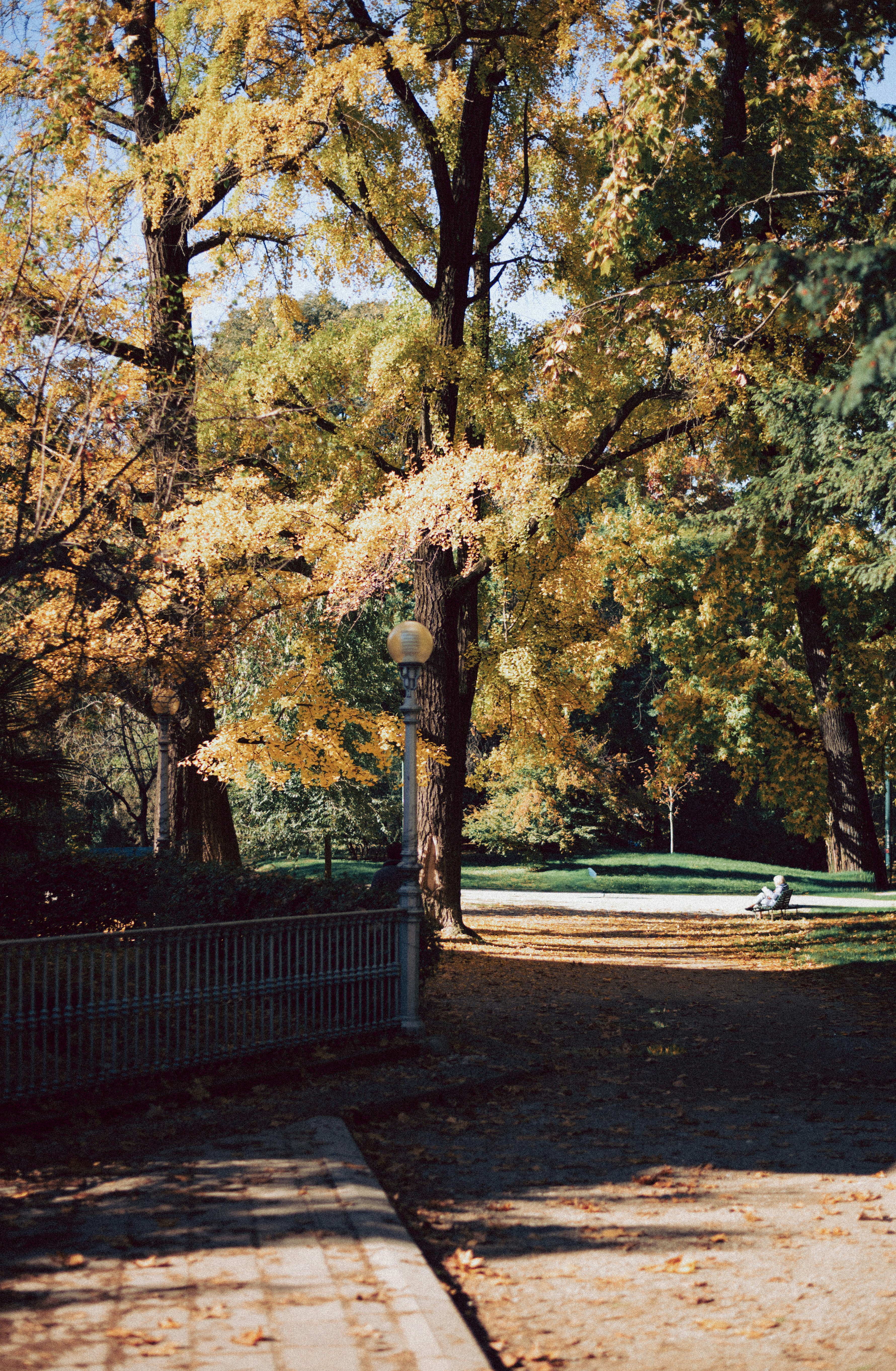 Photo by anamilanofoto