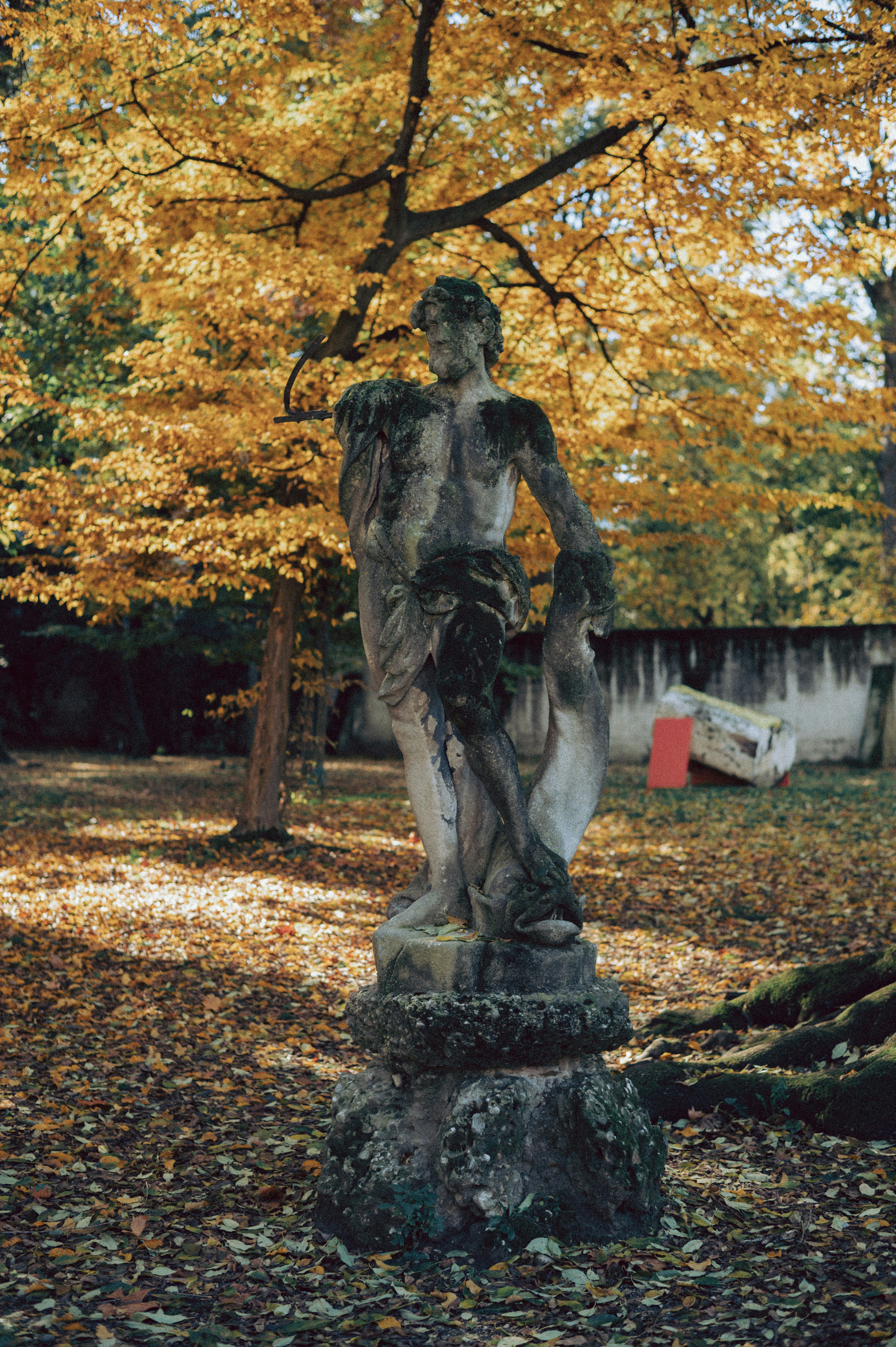 Photo by anamilanofoto