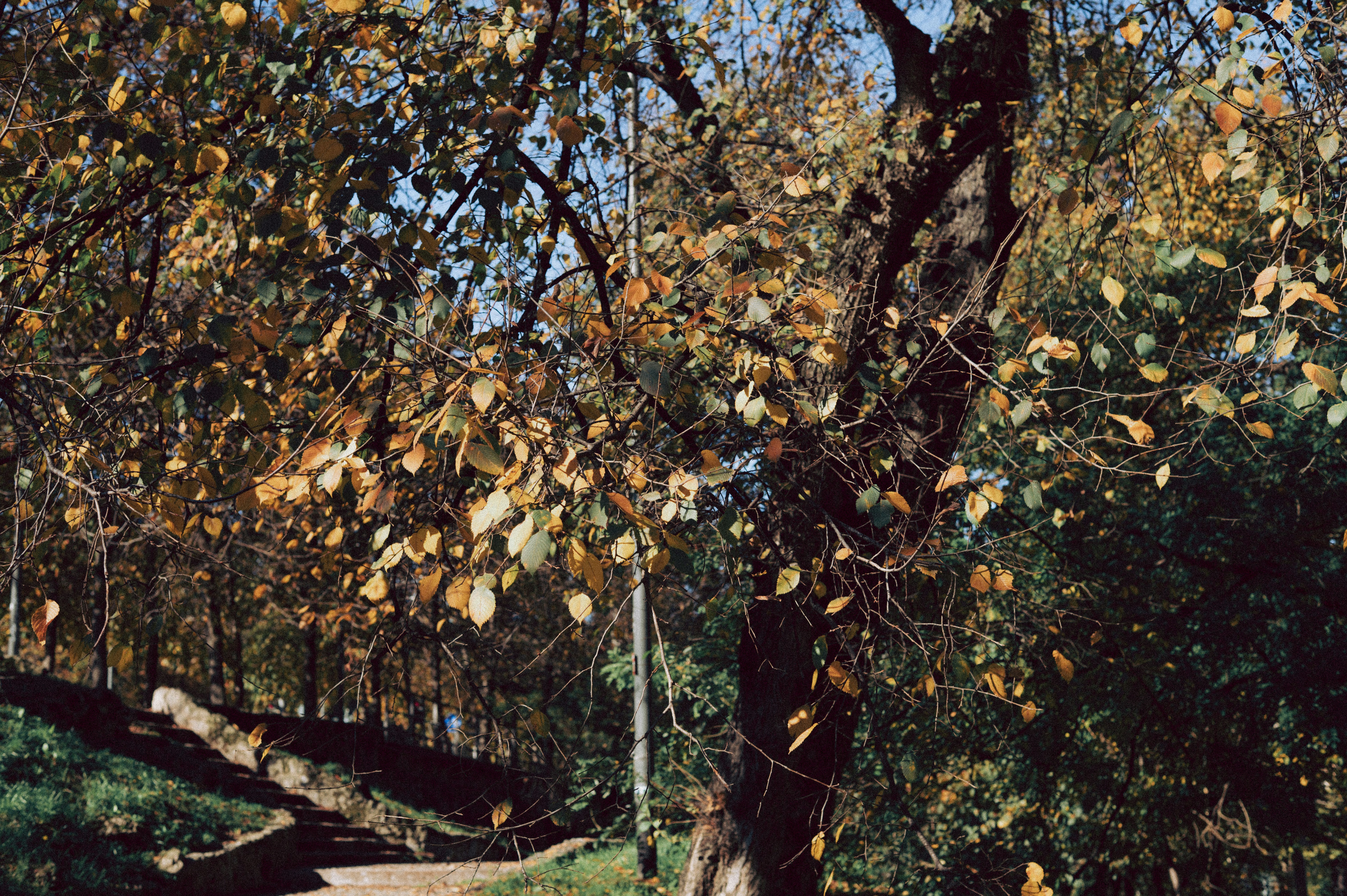 Photo by anamilanofoto