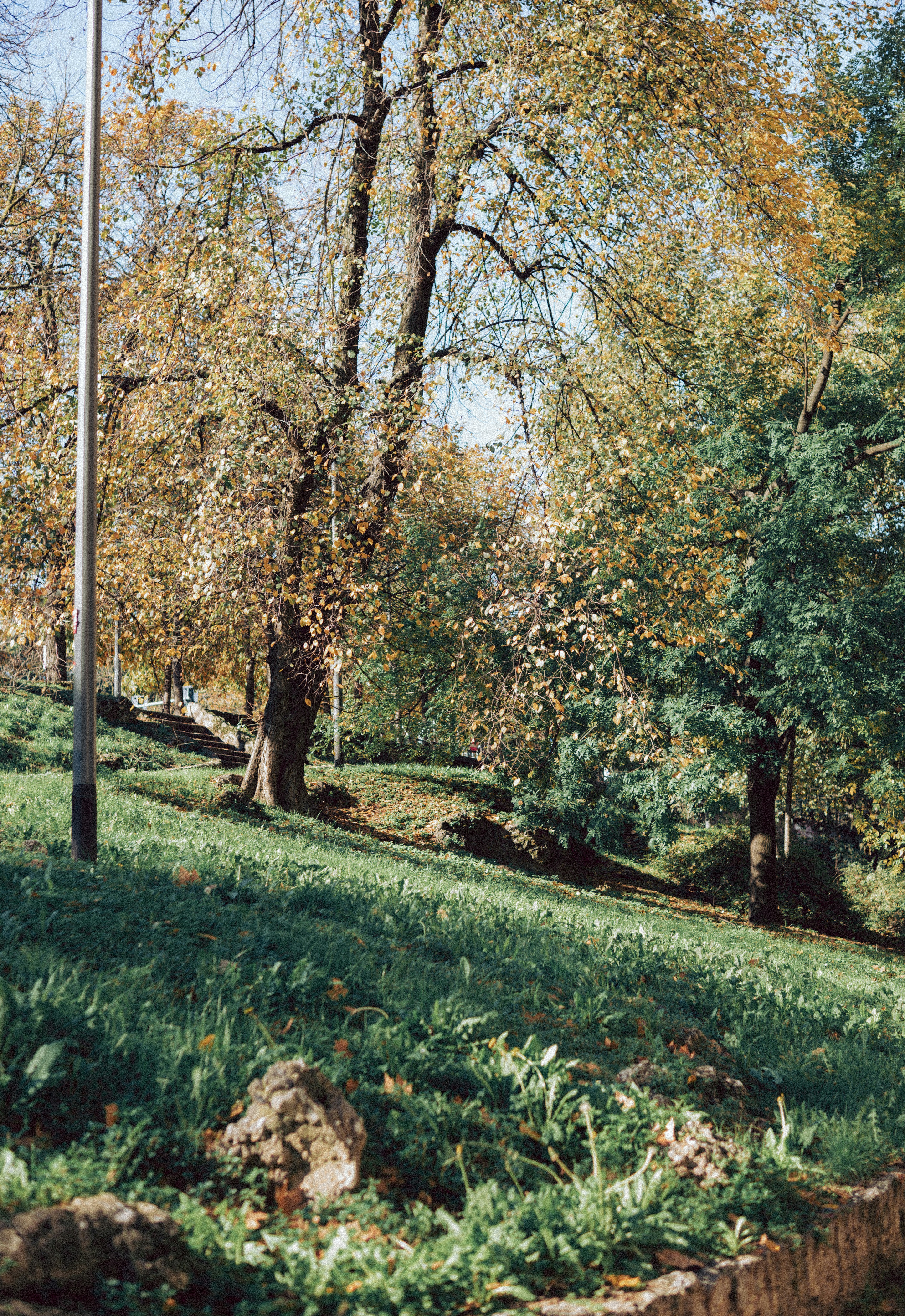 Photo by anamilanofoto