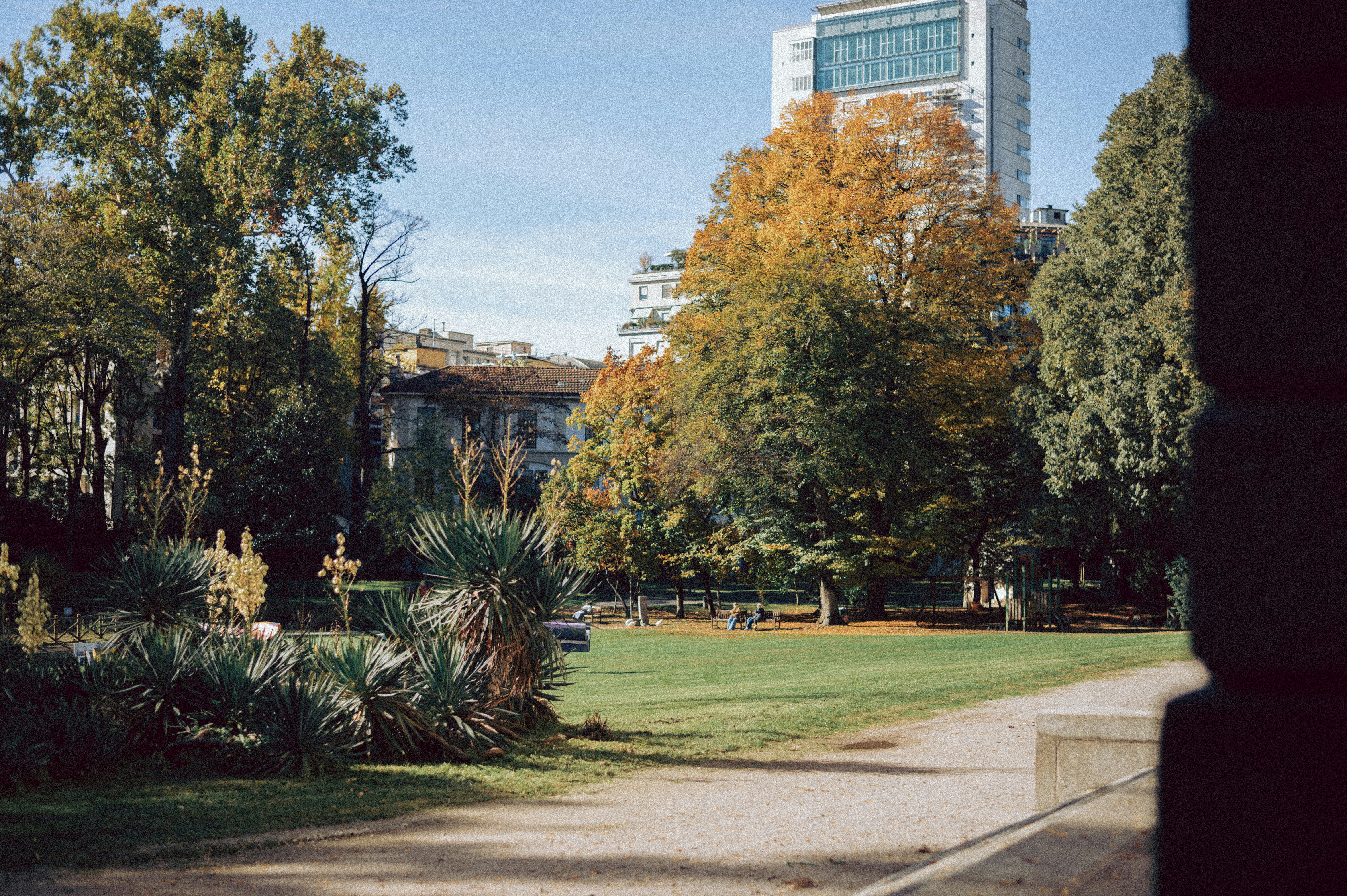 Autumn park with trees and a building