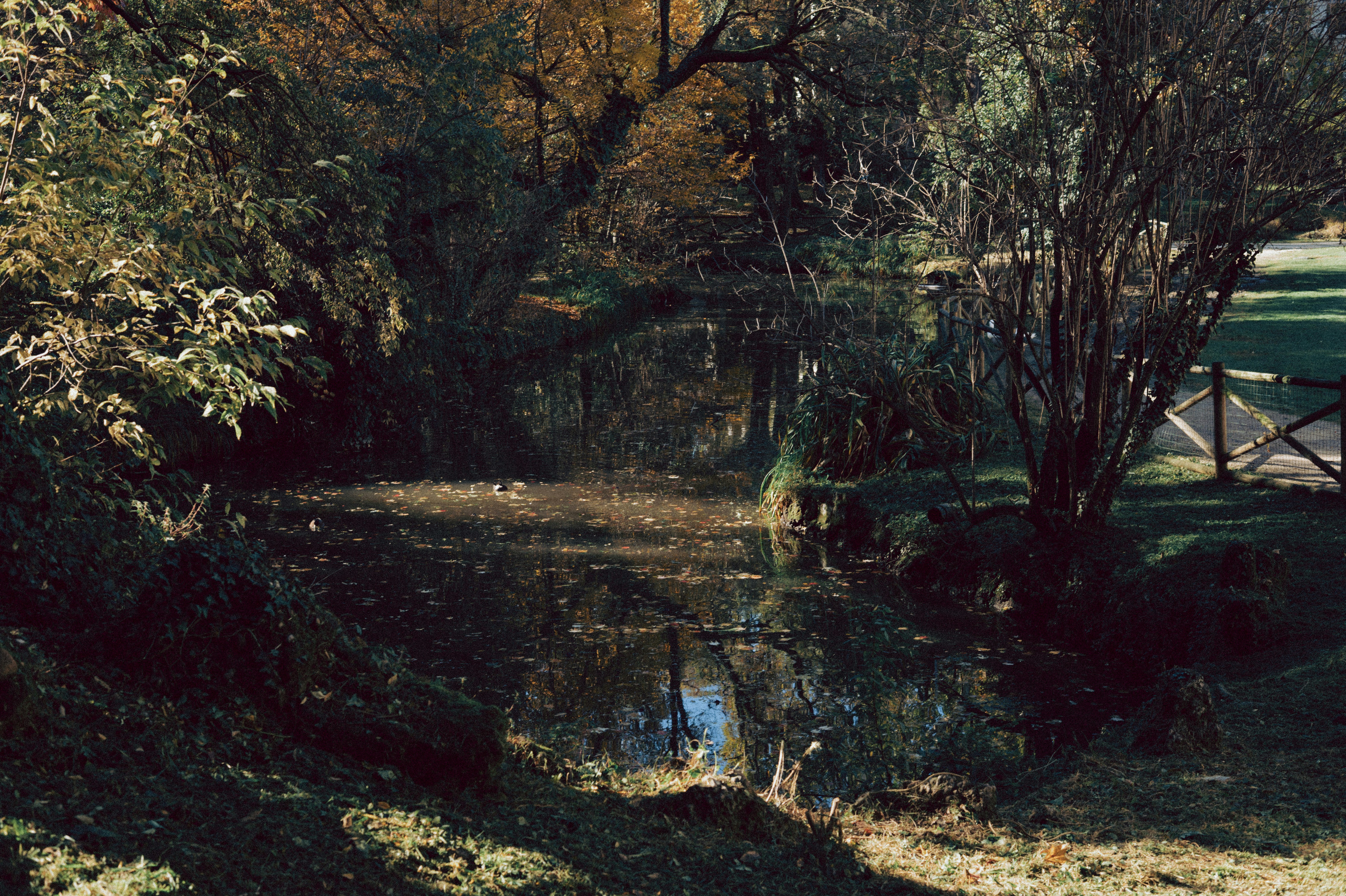 Photo by anamilanofoto