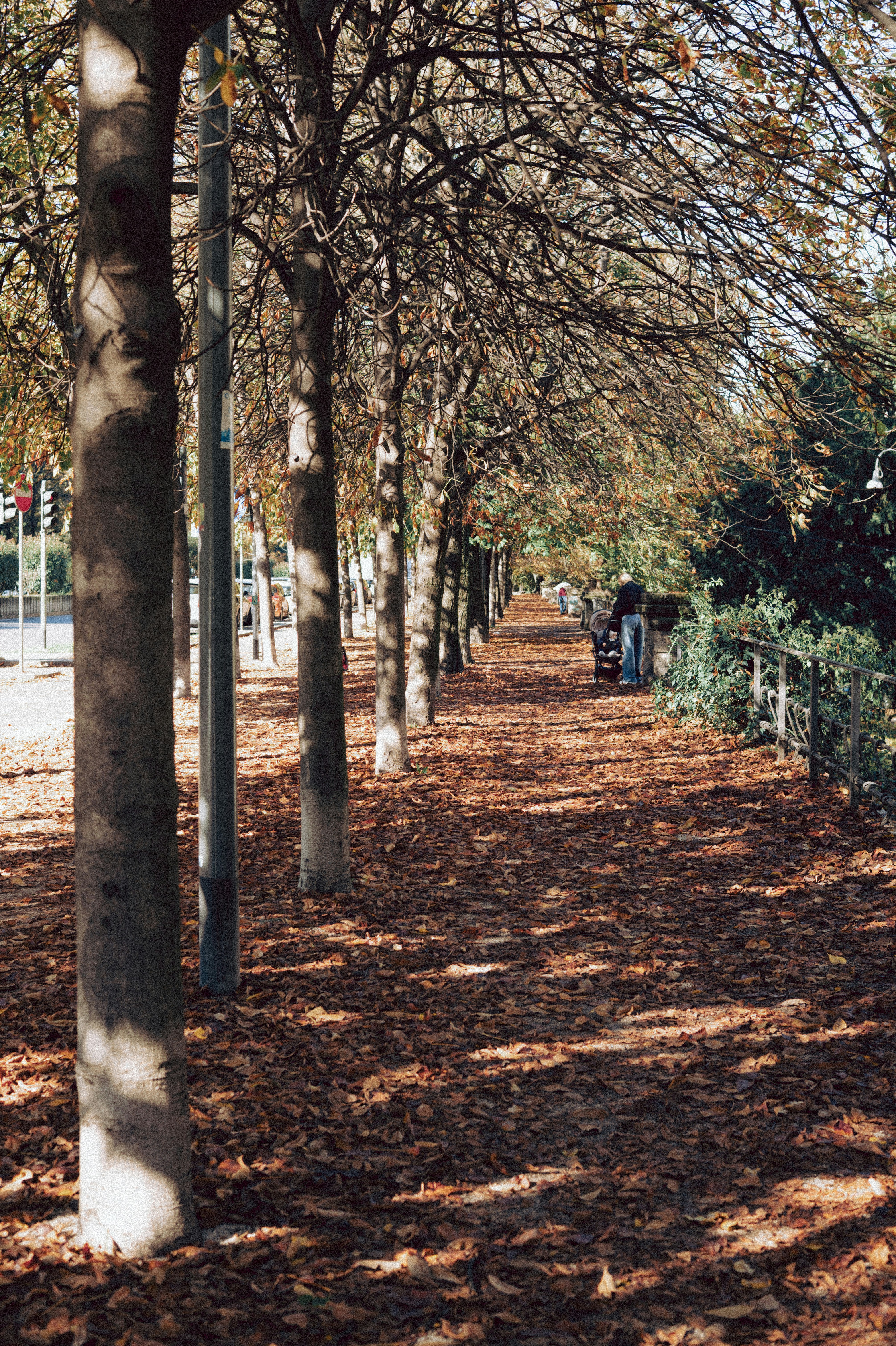 Photo by anamilanofoto