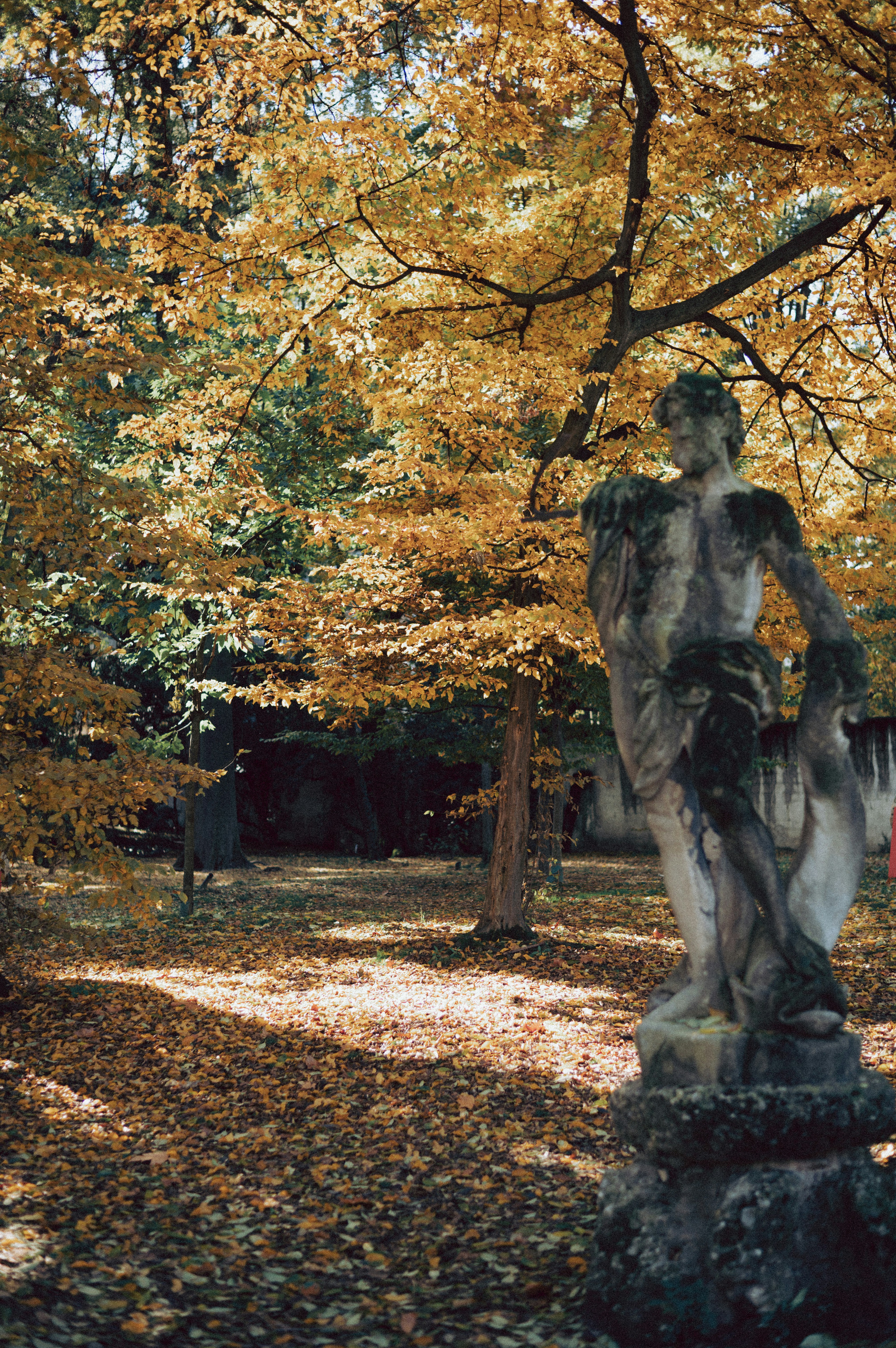 Photo by anamilanofoto