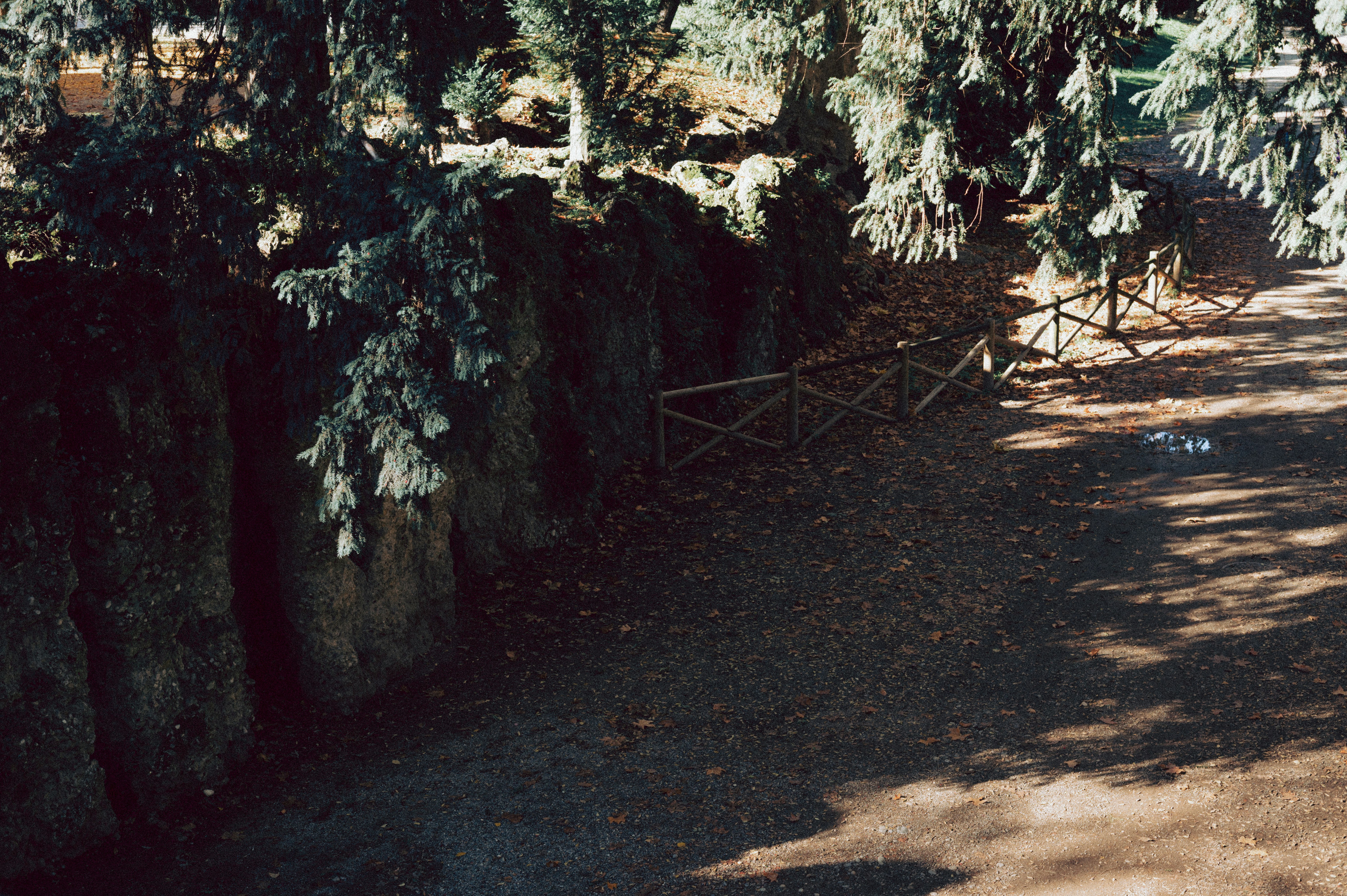 Photo by anamilanofoto