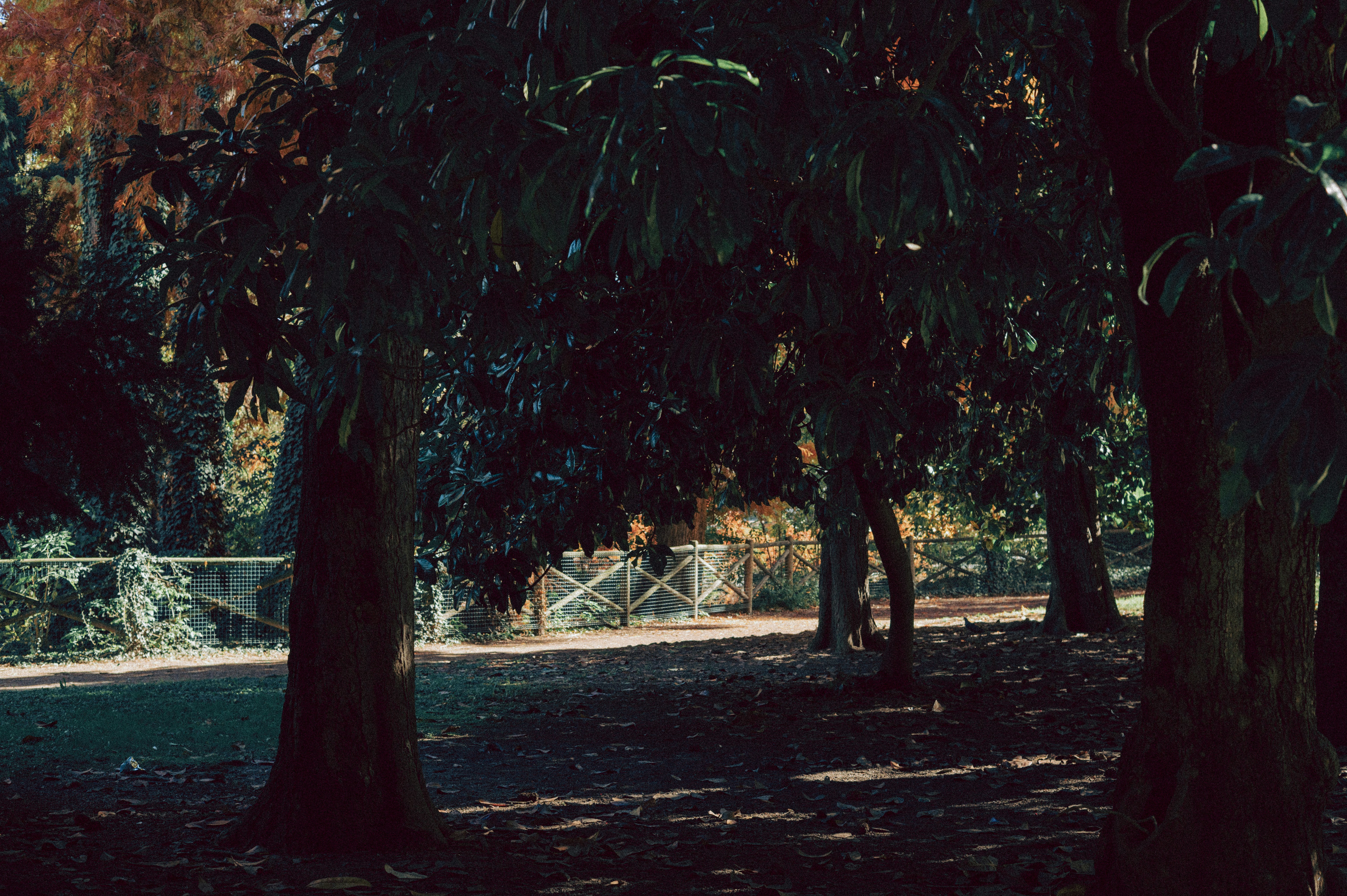 Photo by anamilanofoto