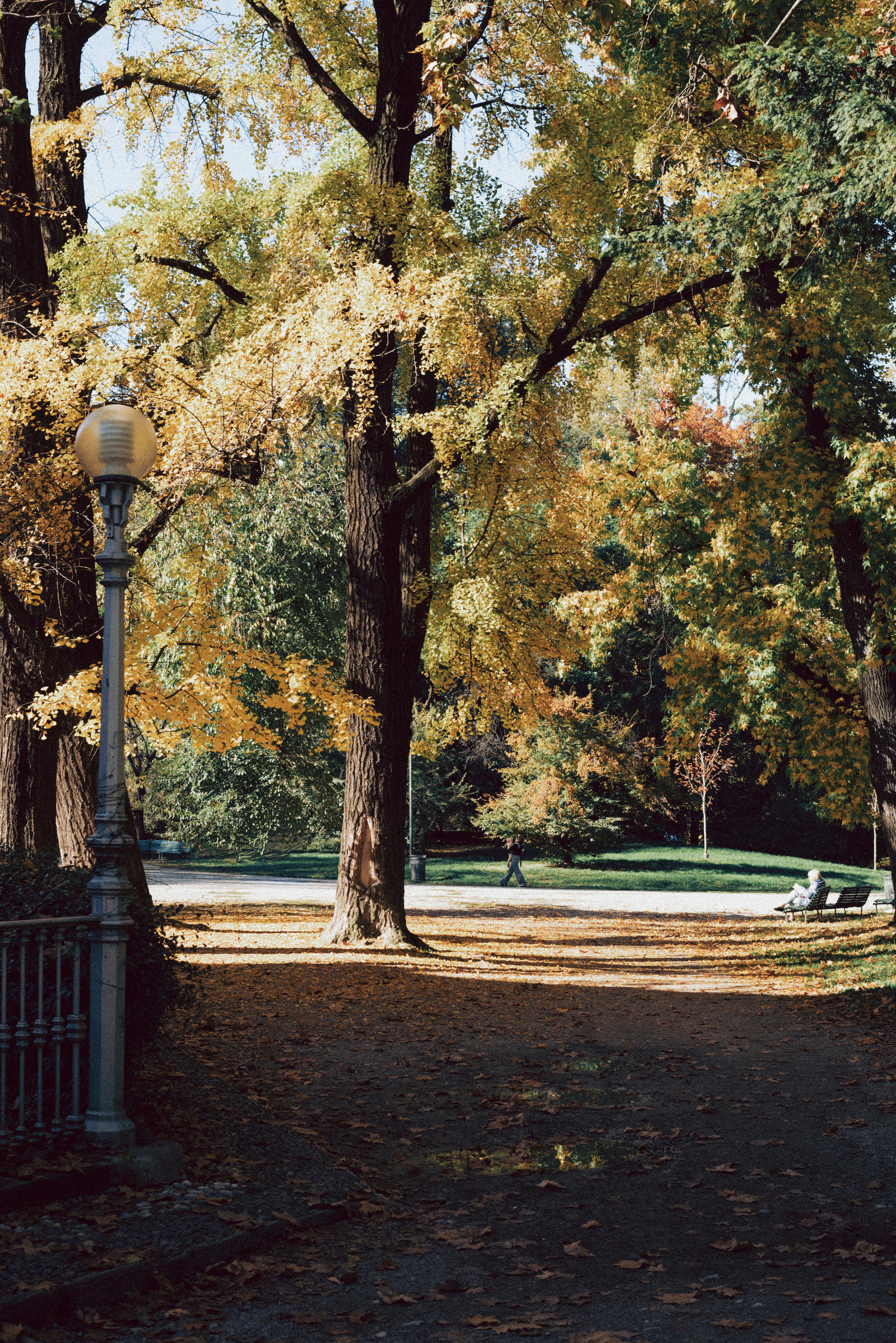 Photo by anamilanofoto