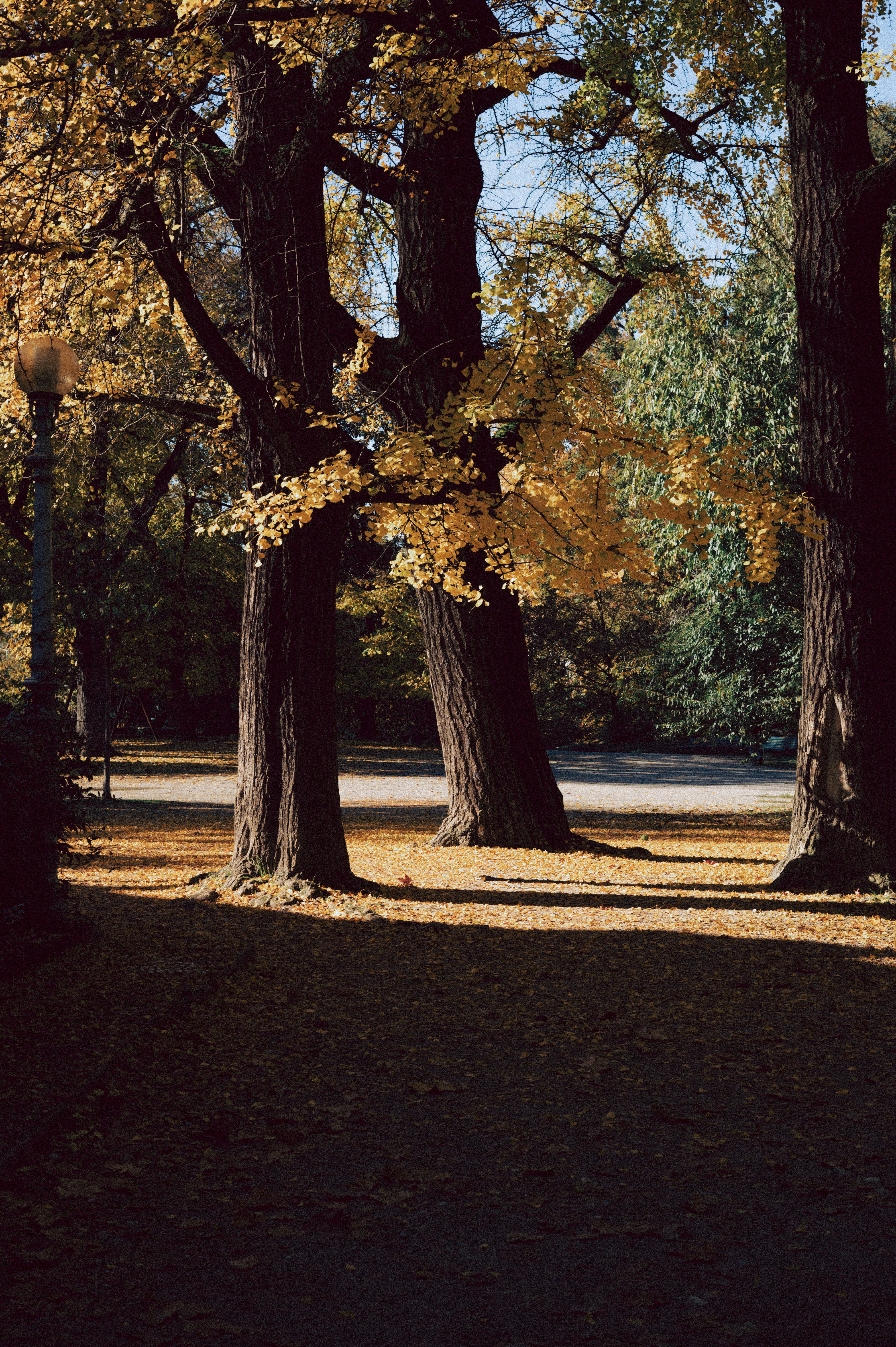 Photo by anamilanofoto