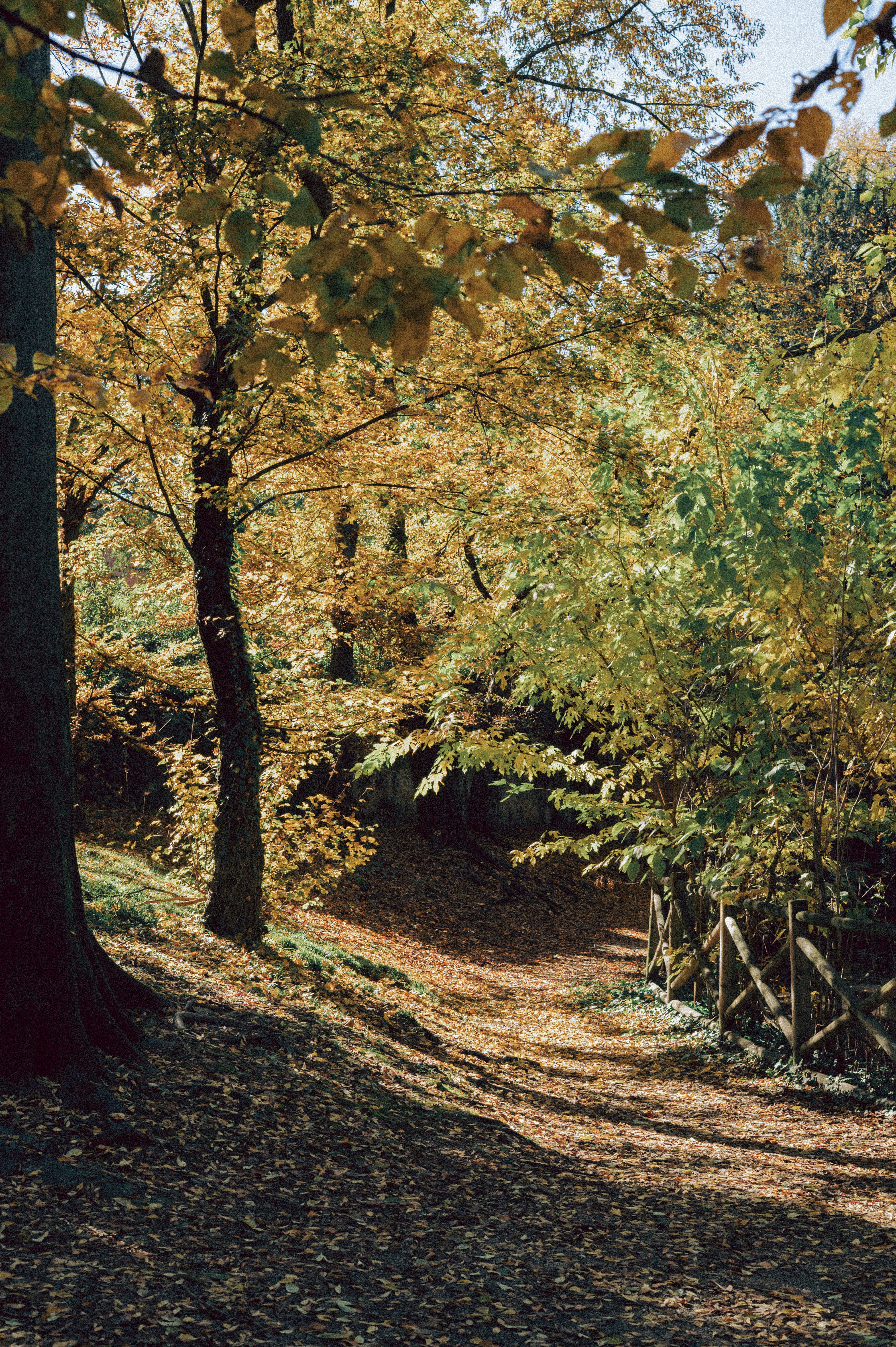 Photo by anamilanofoto