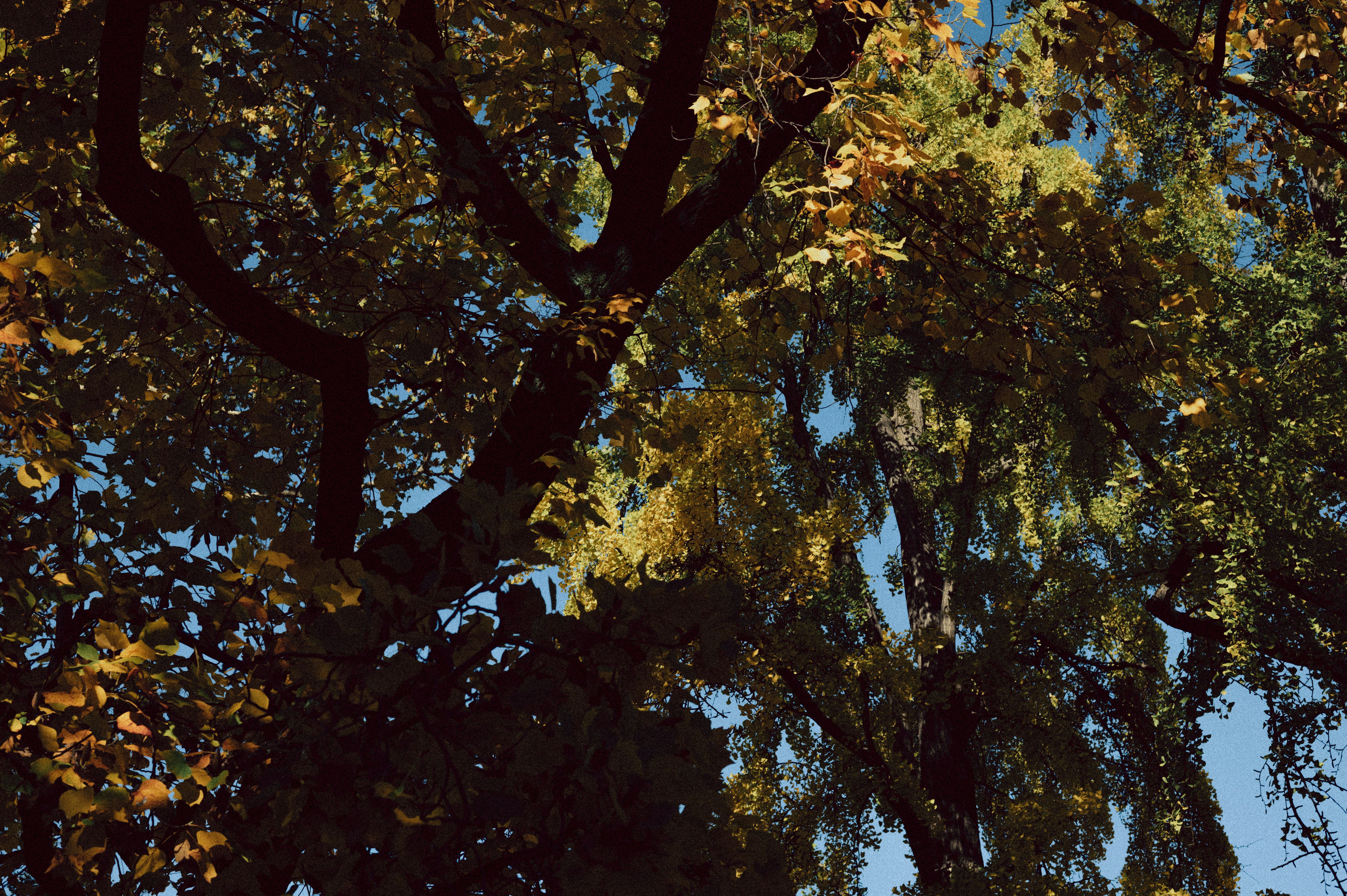 Photo by anamilanofoto