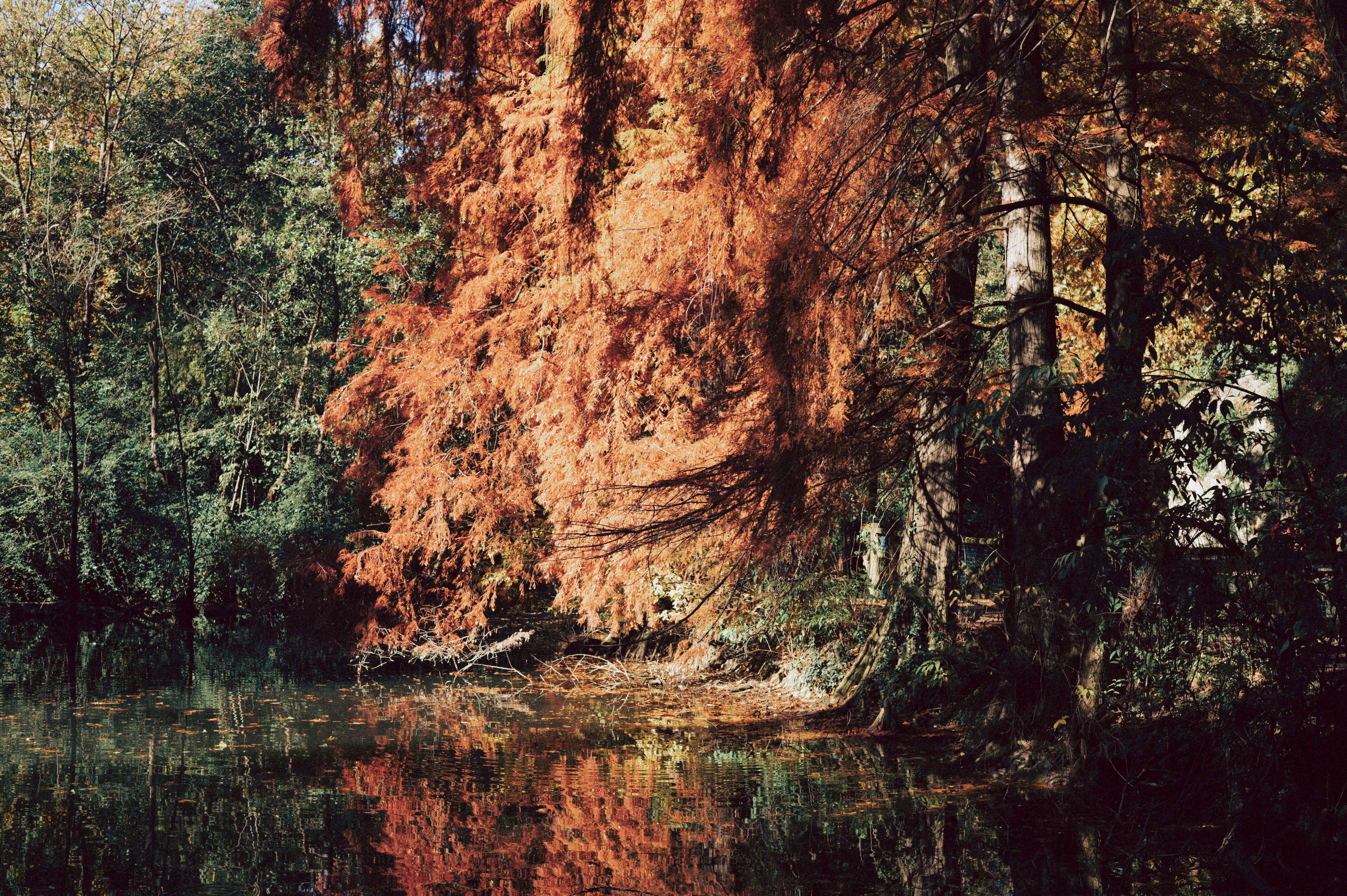 Photo by anamilanofoto