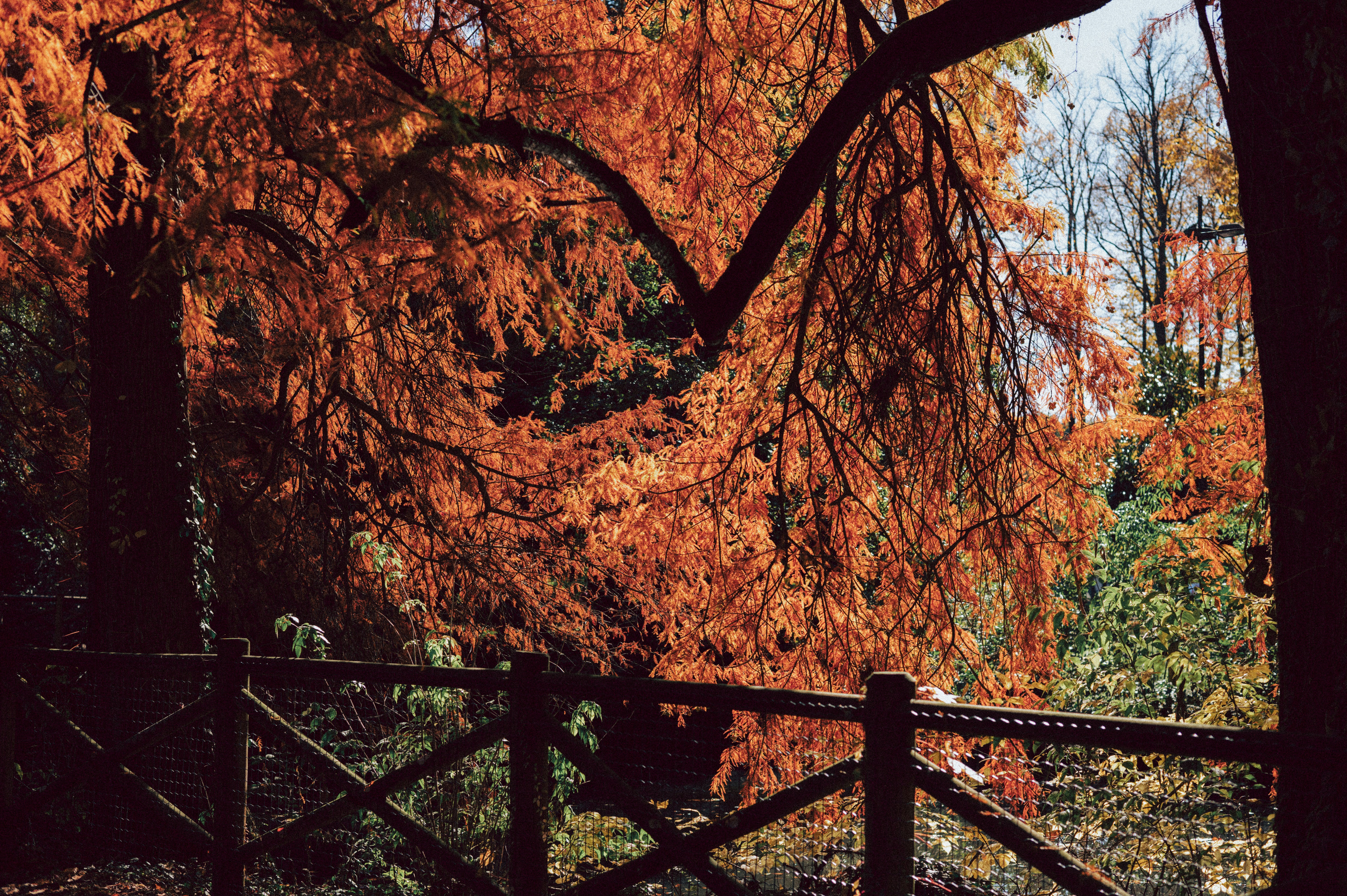 Photo by anamilanofoto