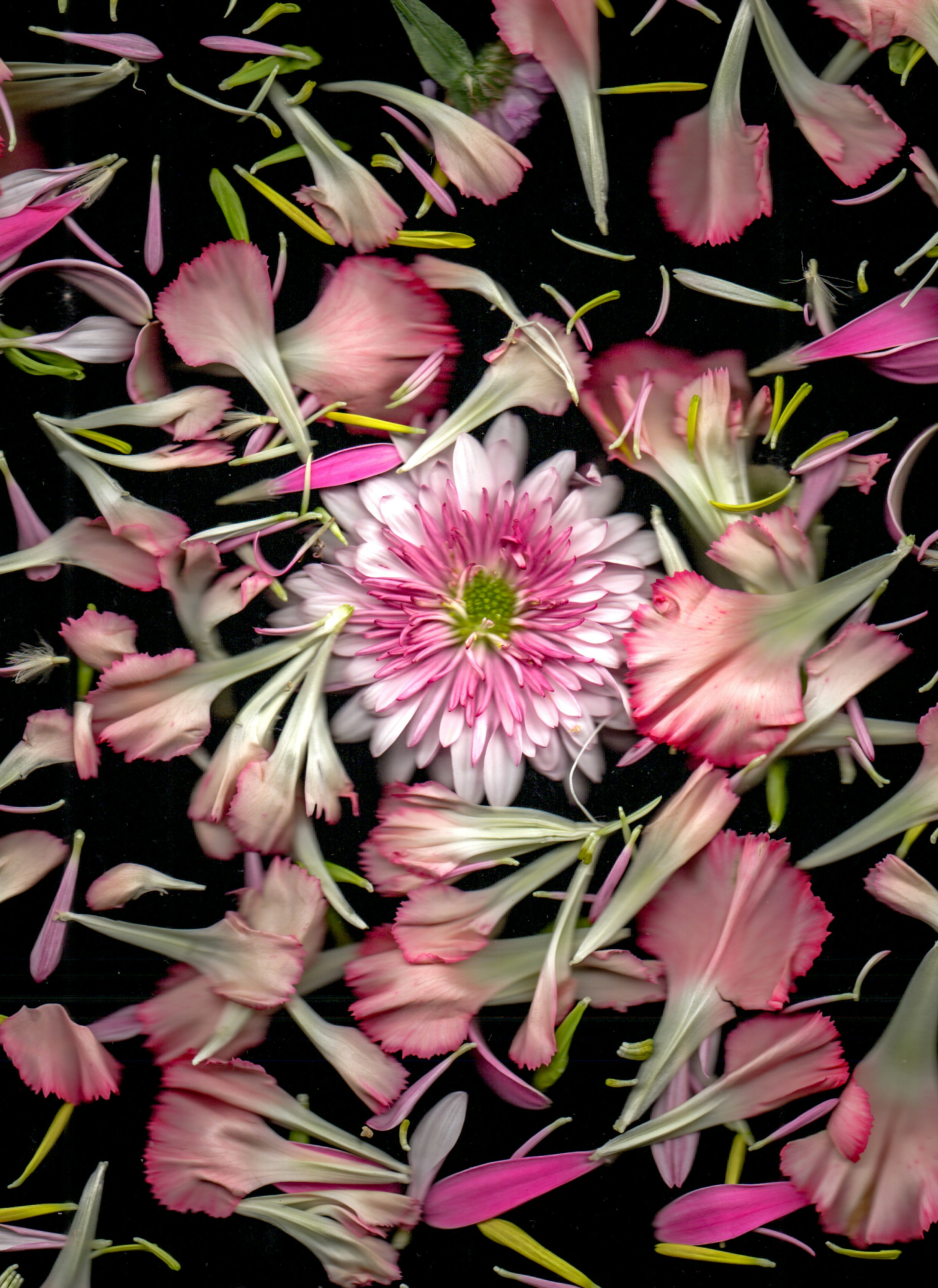 Photo by _joaquinarenas