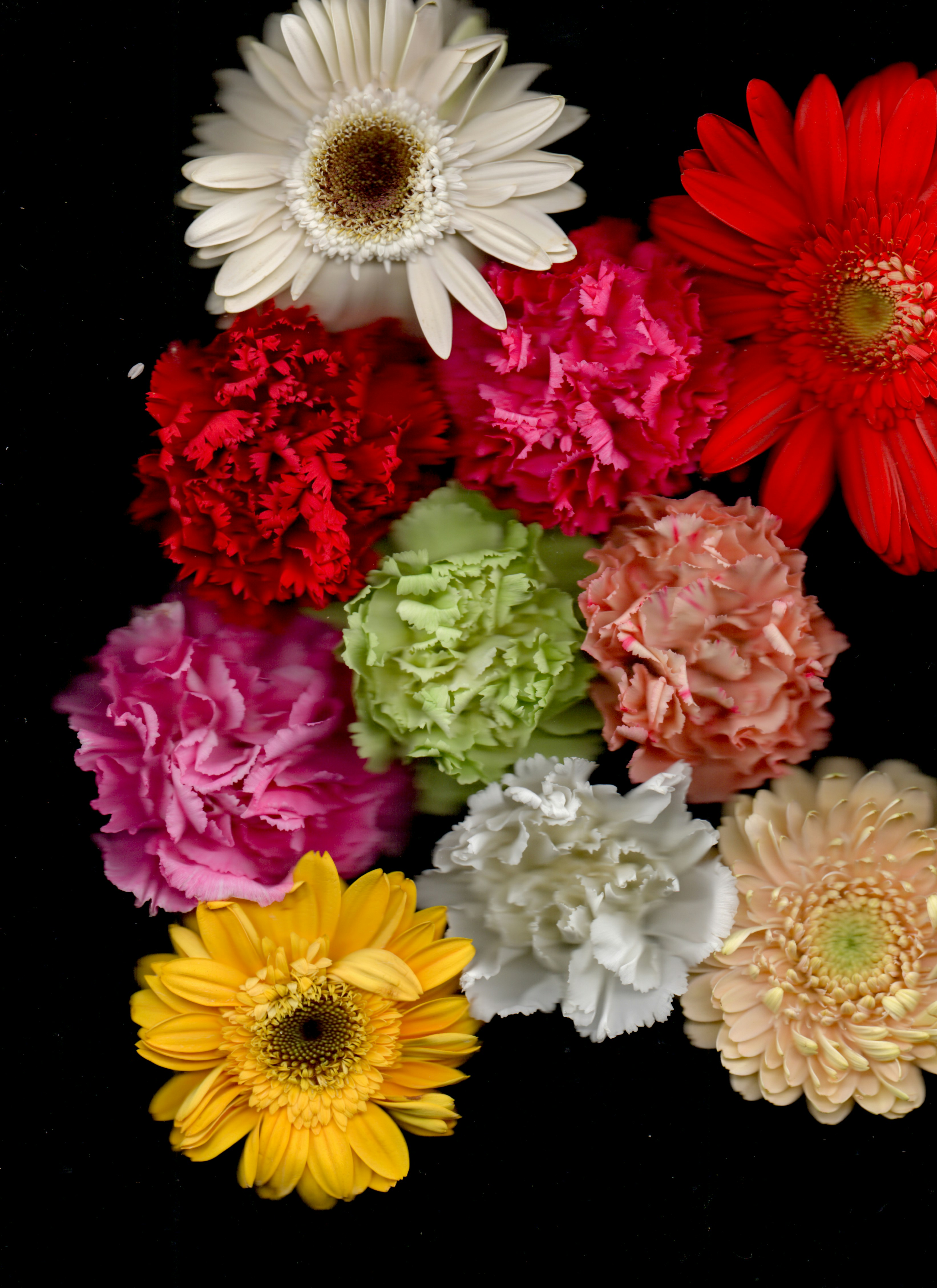 Photo by _joaquinarenas