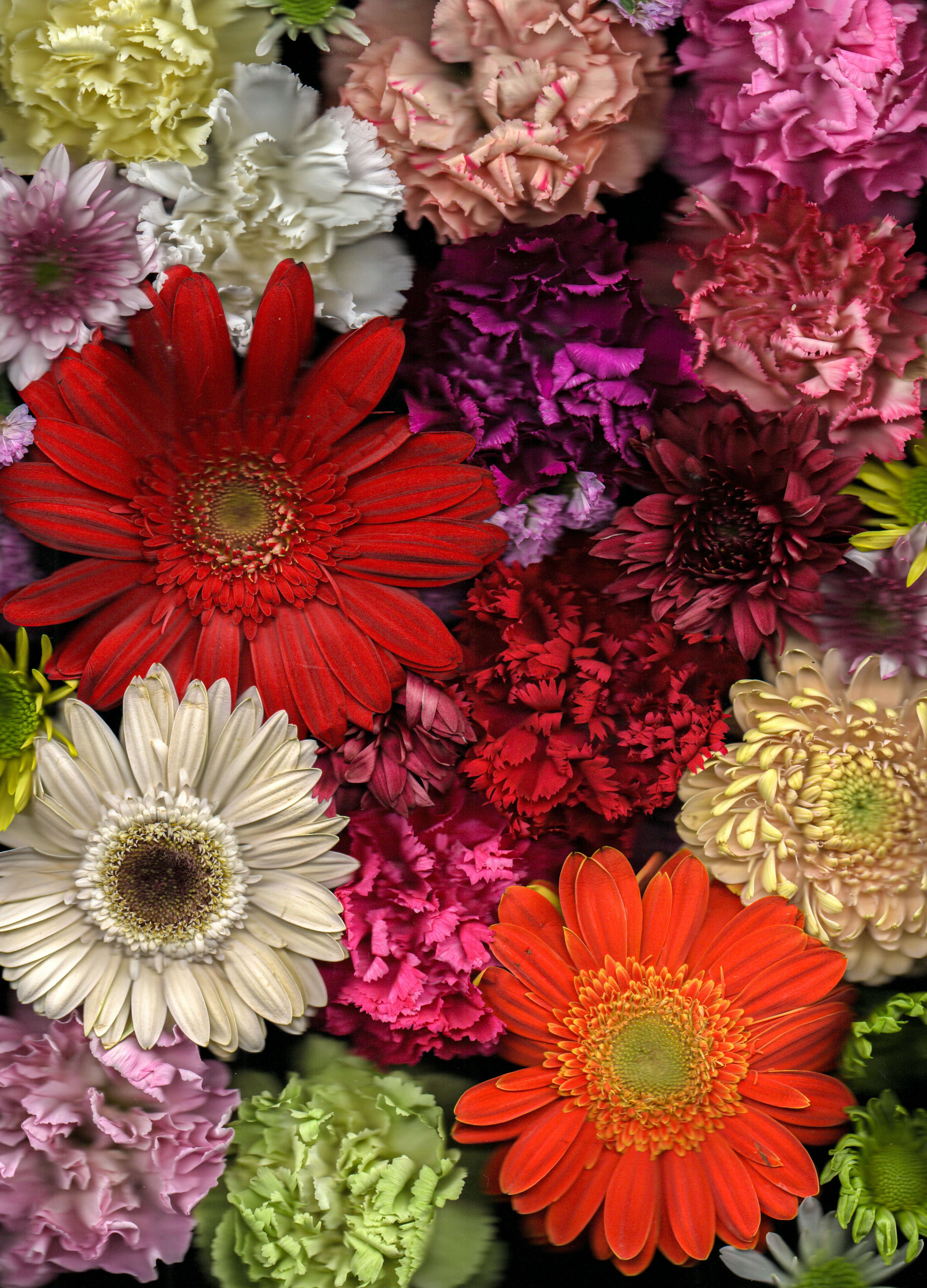 Photo by _joaquinarenas