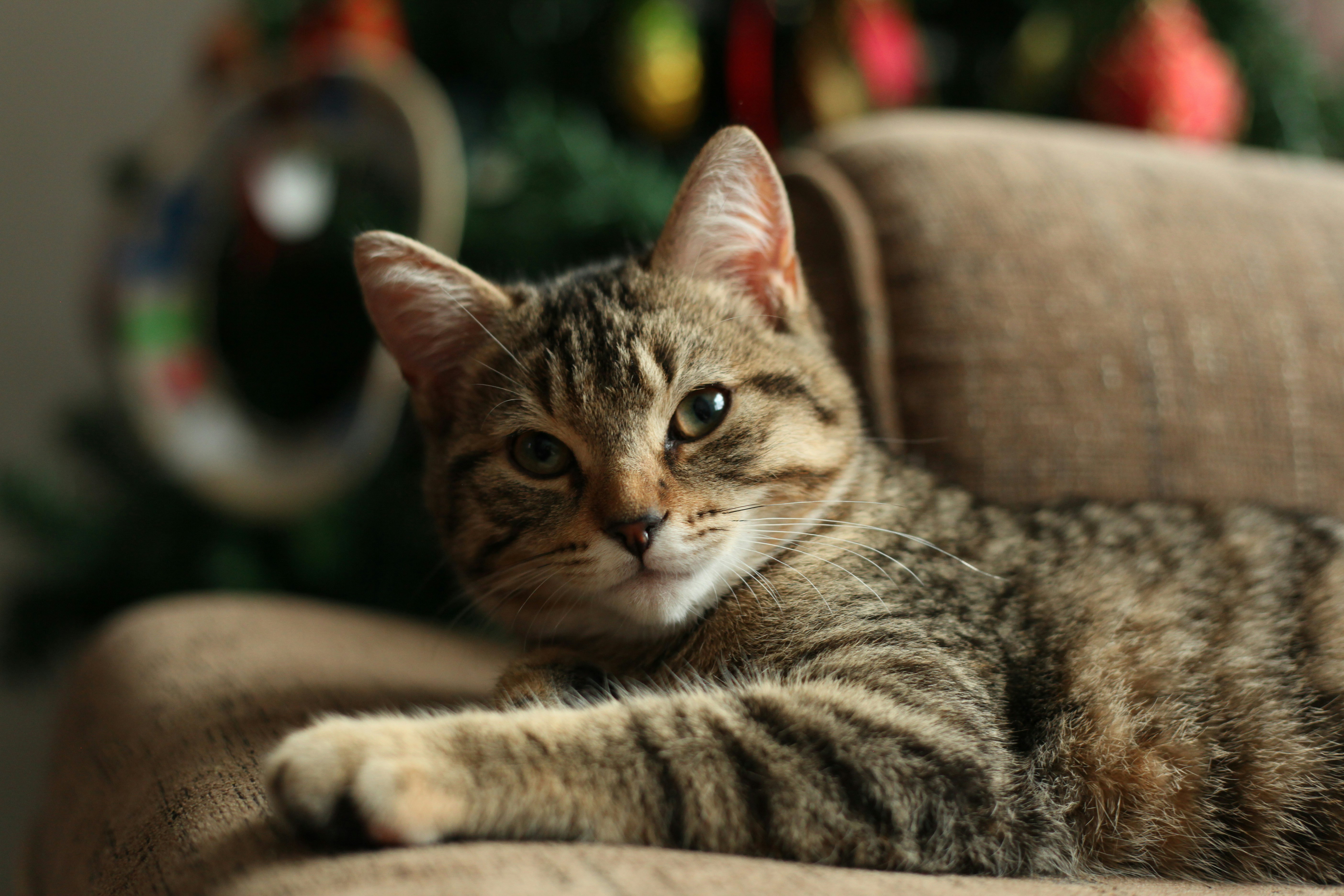 Photo by scorpionlady222