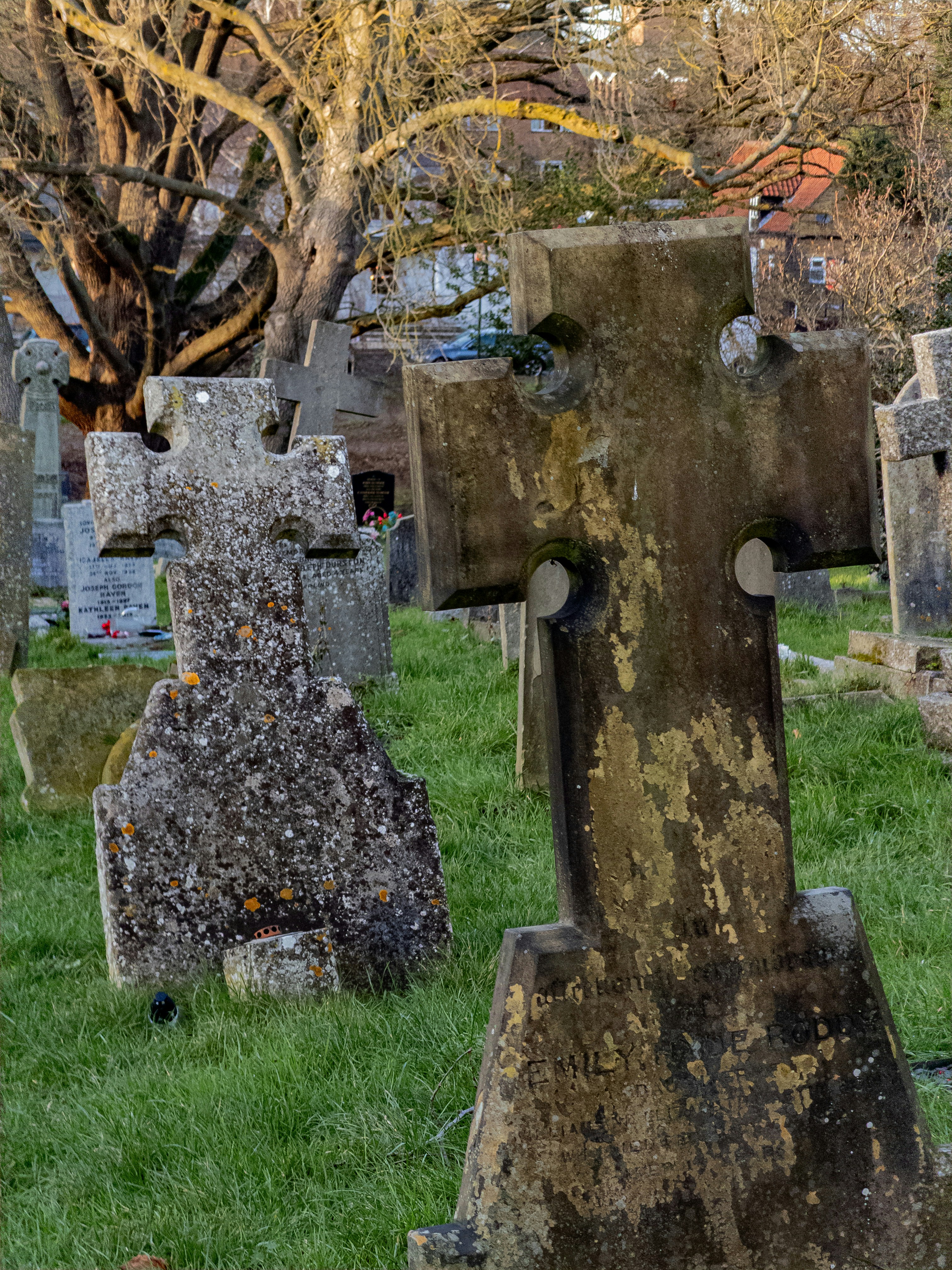 Photo by brett_jordan