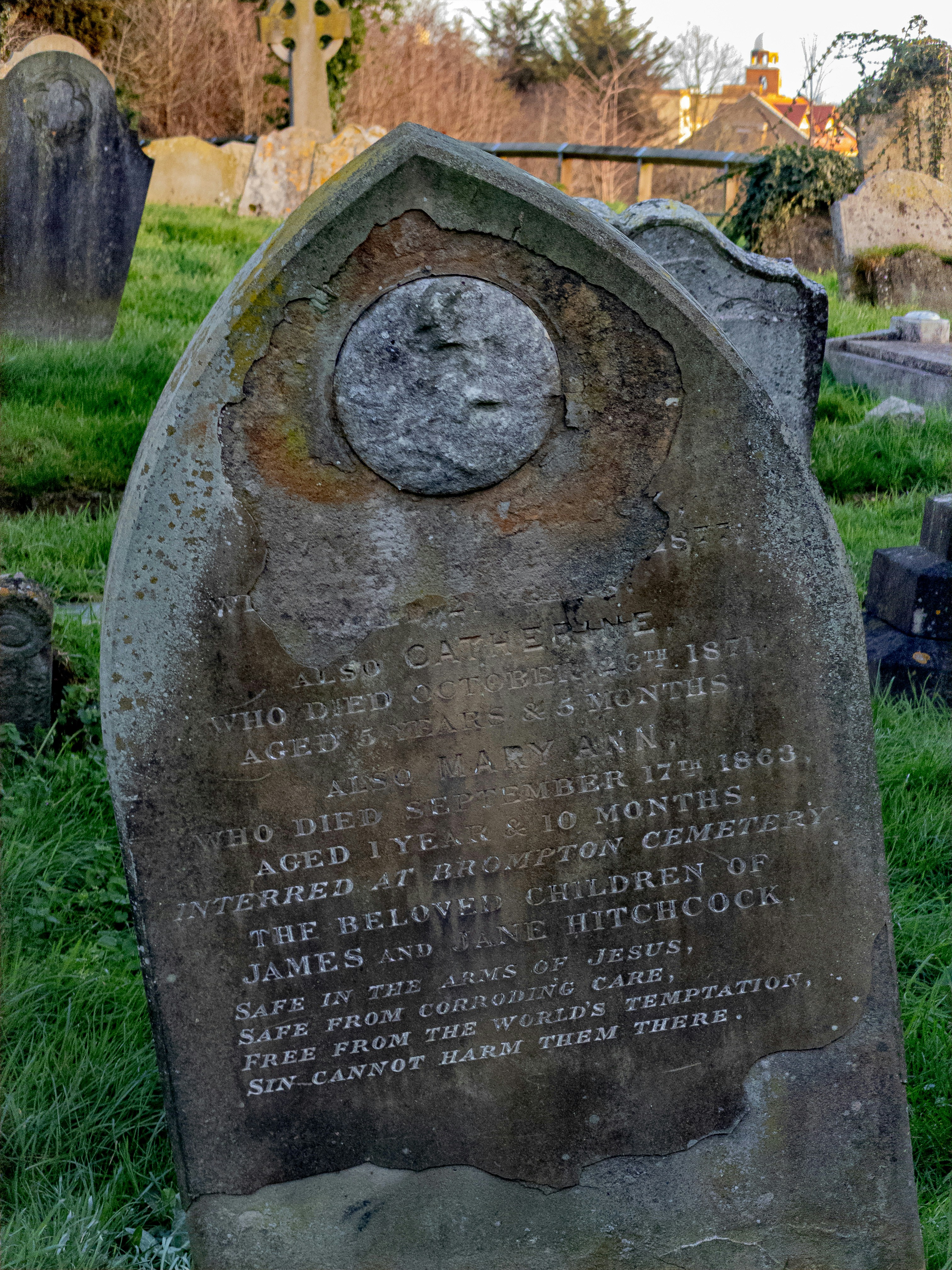 Photo by brett_jordan