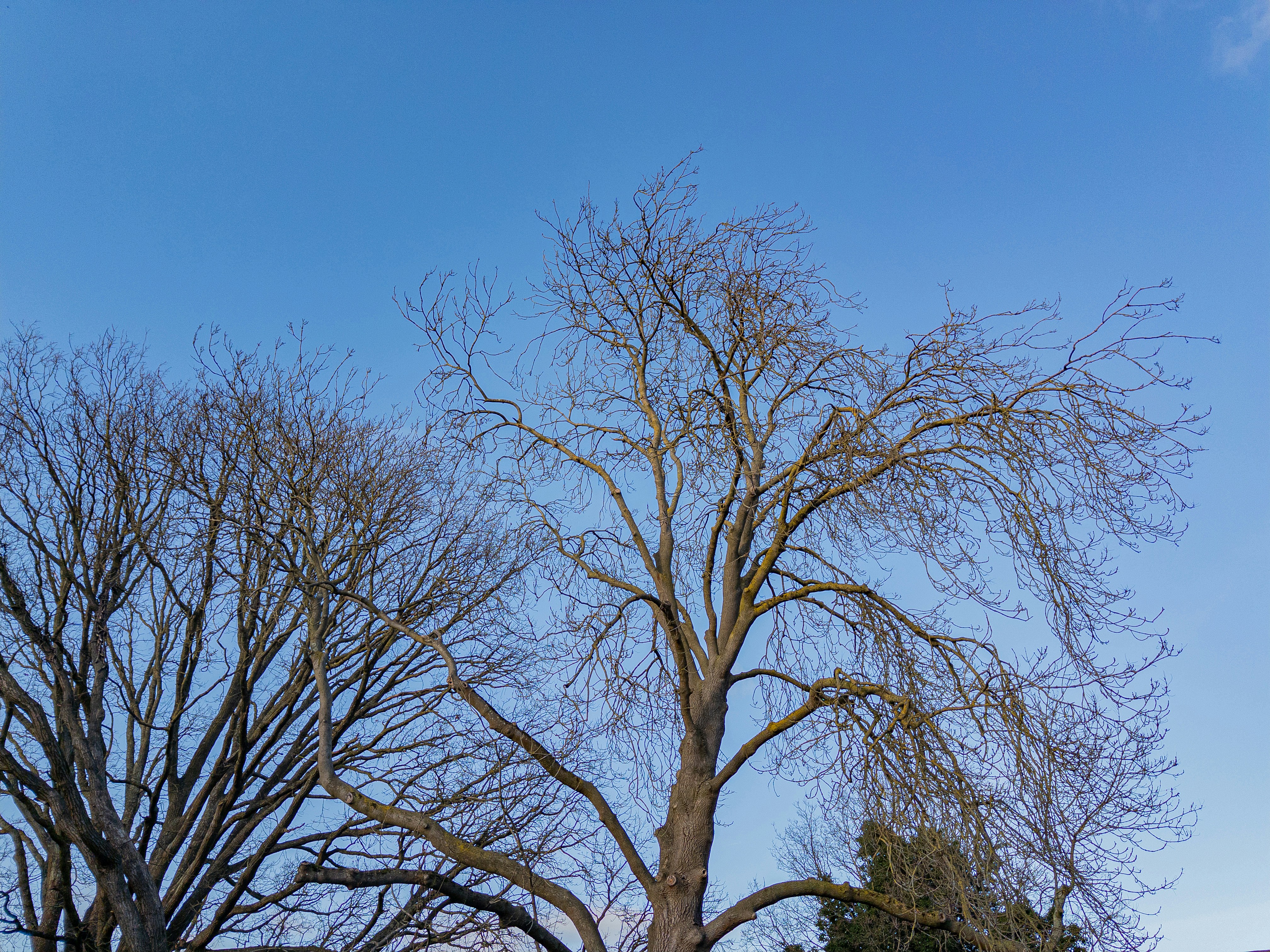 Photo by brett_jordan