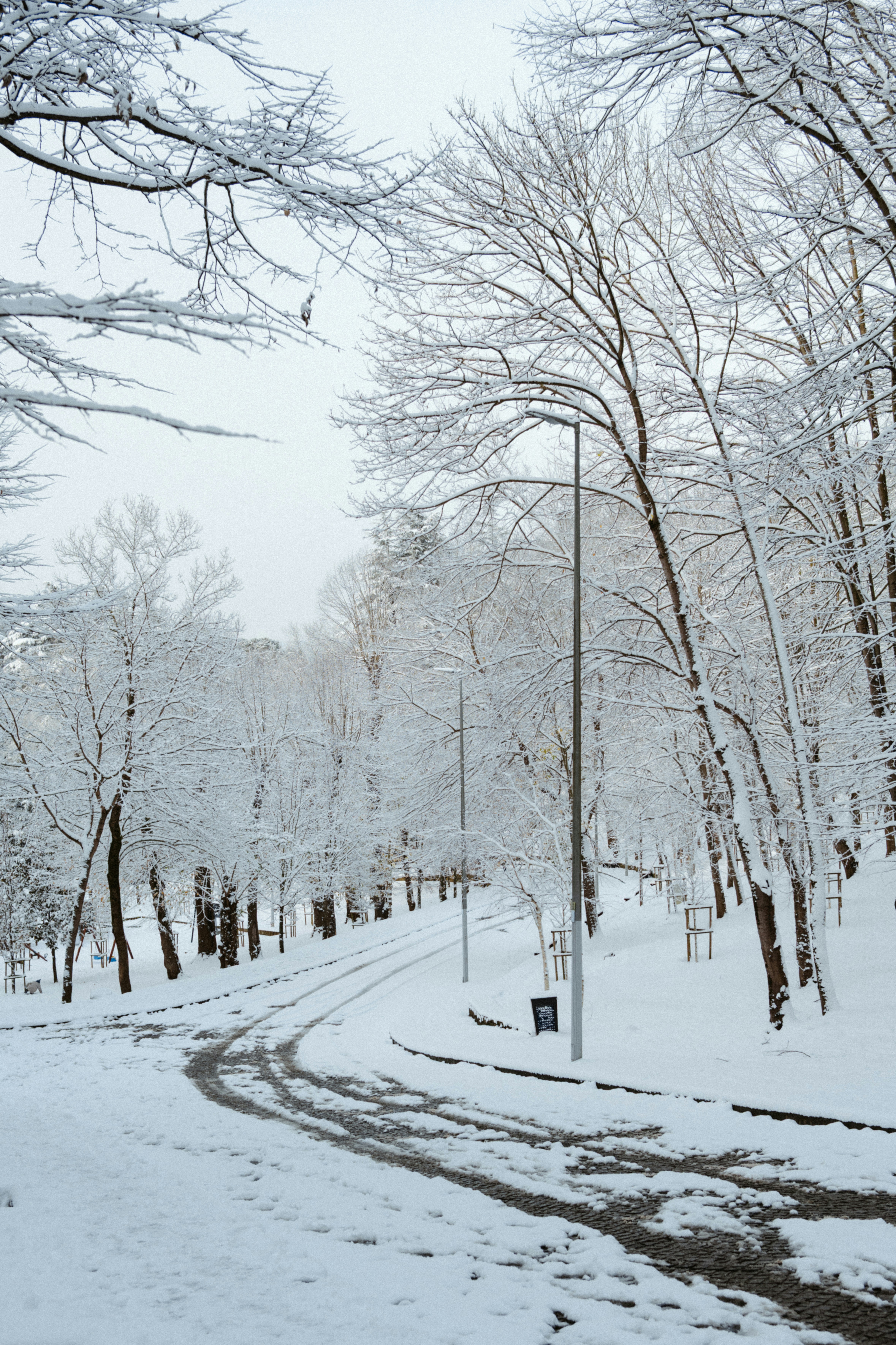 Winding snowy path through a winter forest