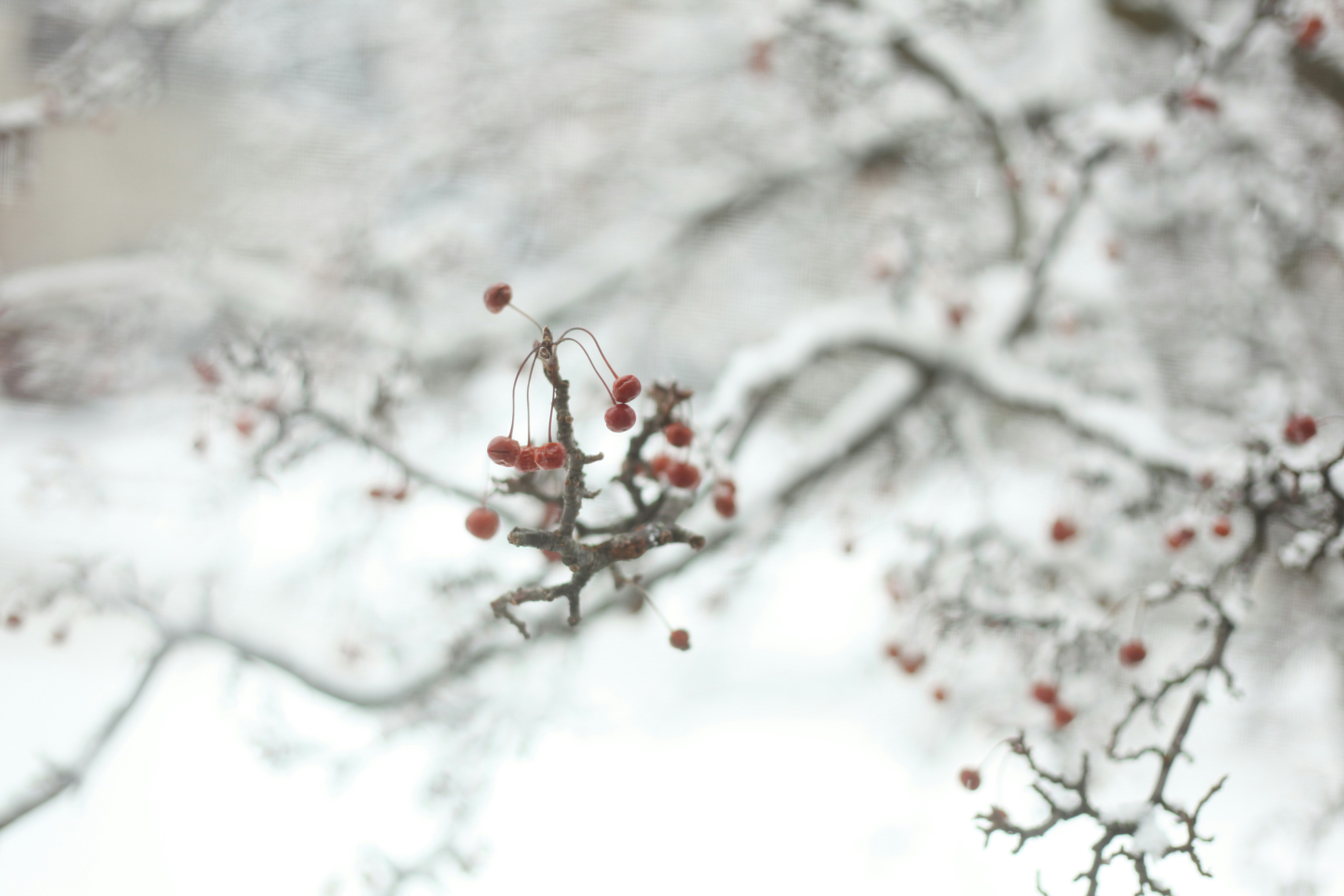 Photo by scorpionlady222