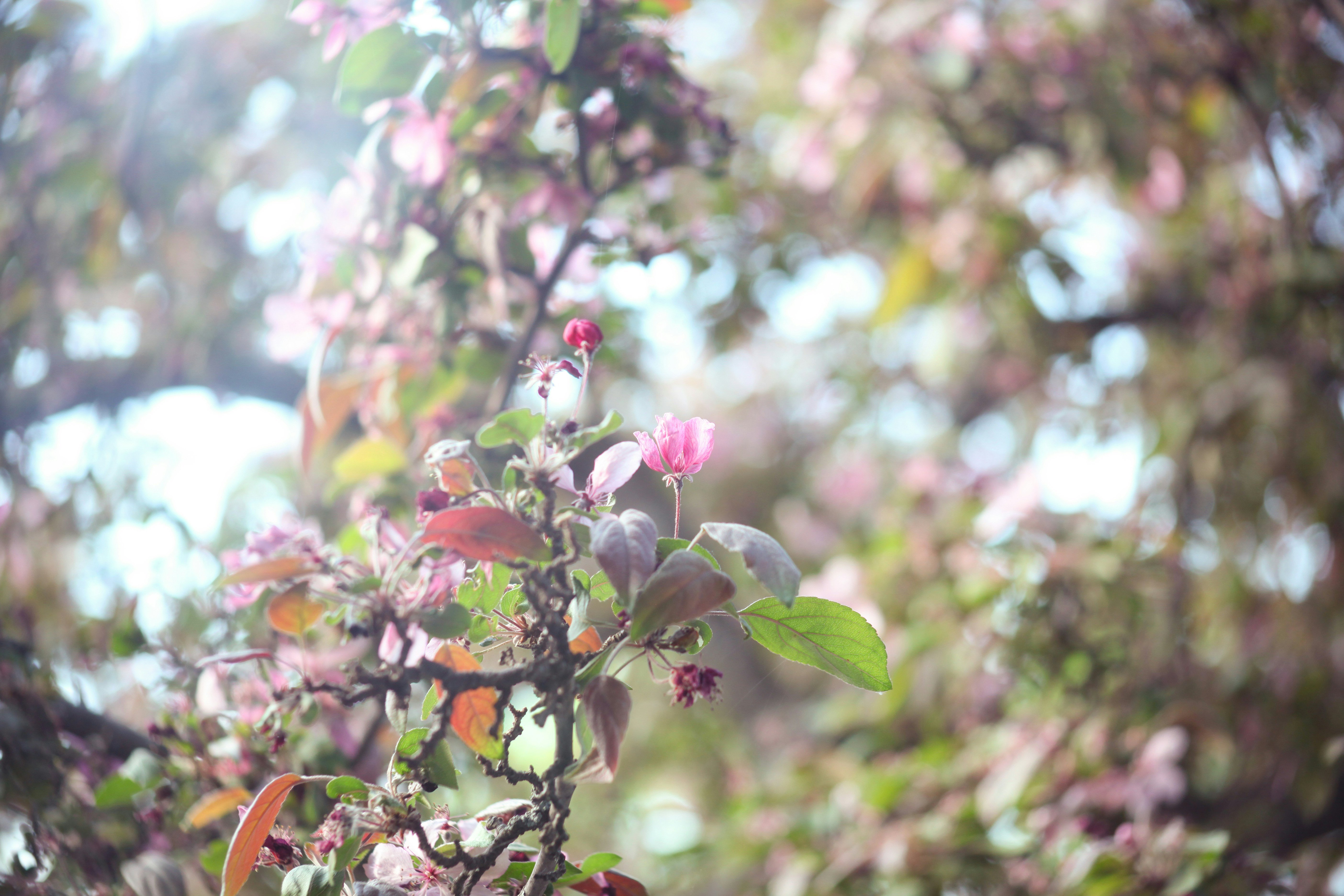 Photo by scorpionlady222