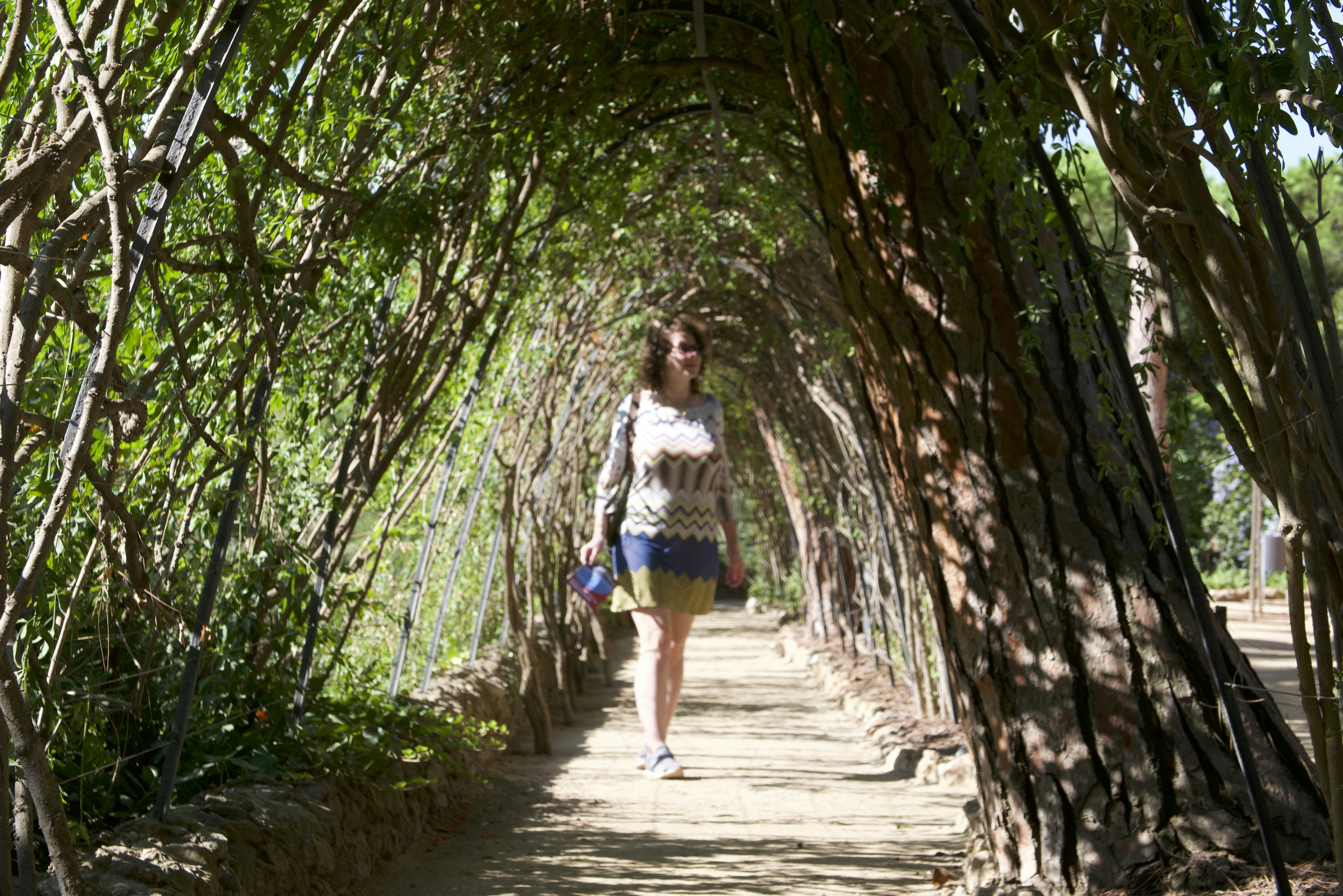Woman walking through a green tree tunnel