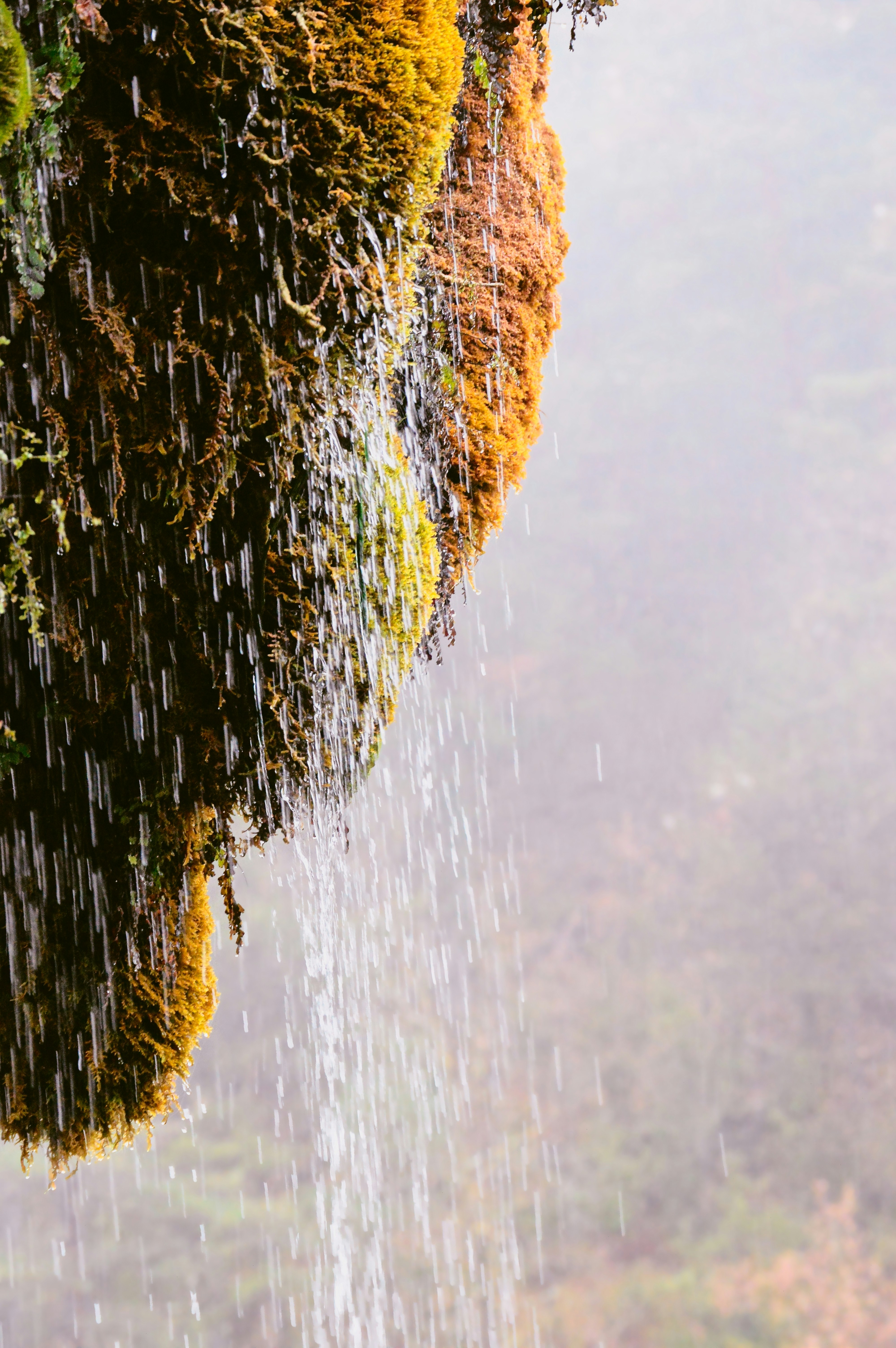 Water cascades down moss-covered rocks in a misty forest.