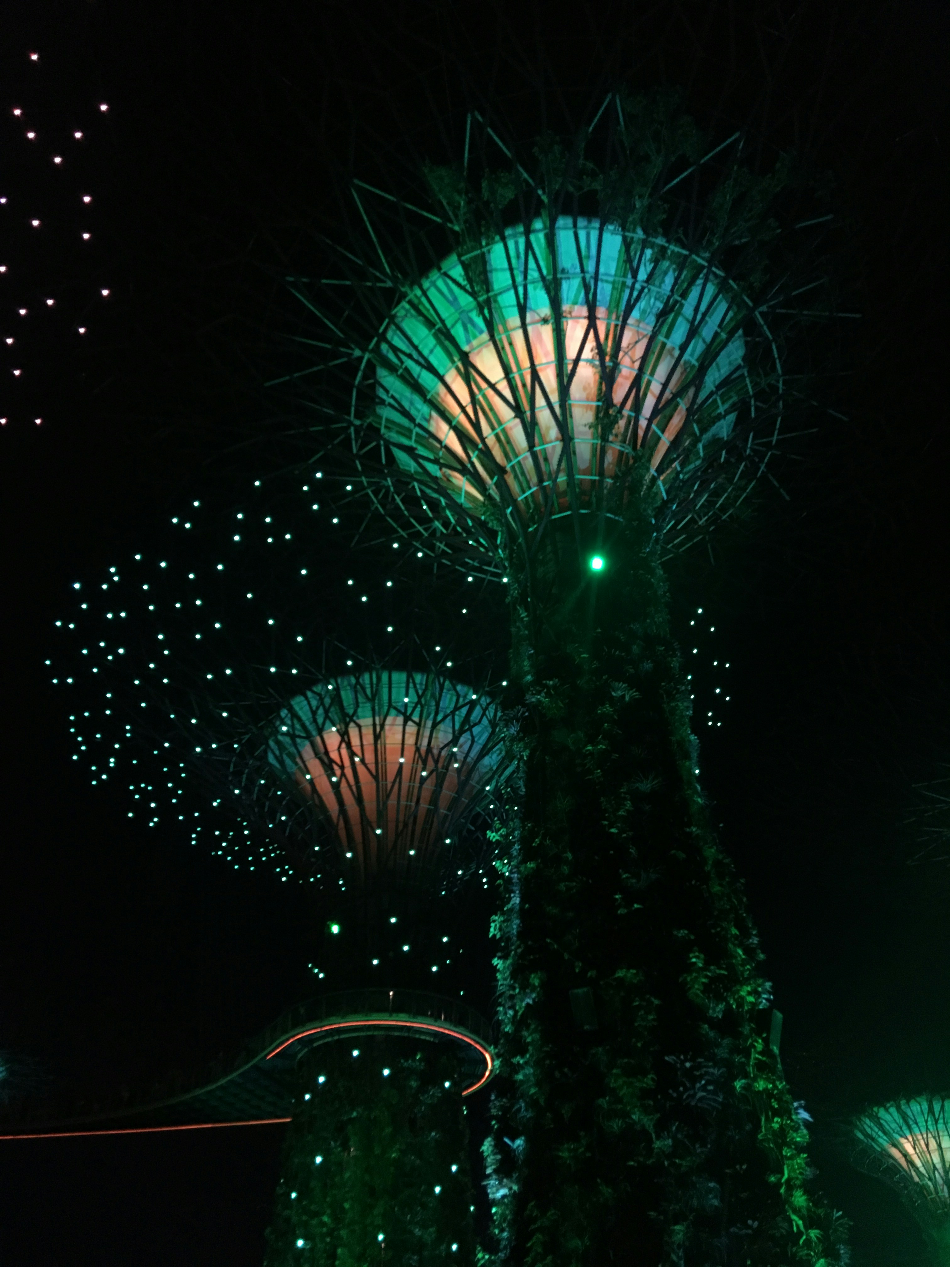 Photo by sergei_gussev