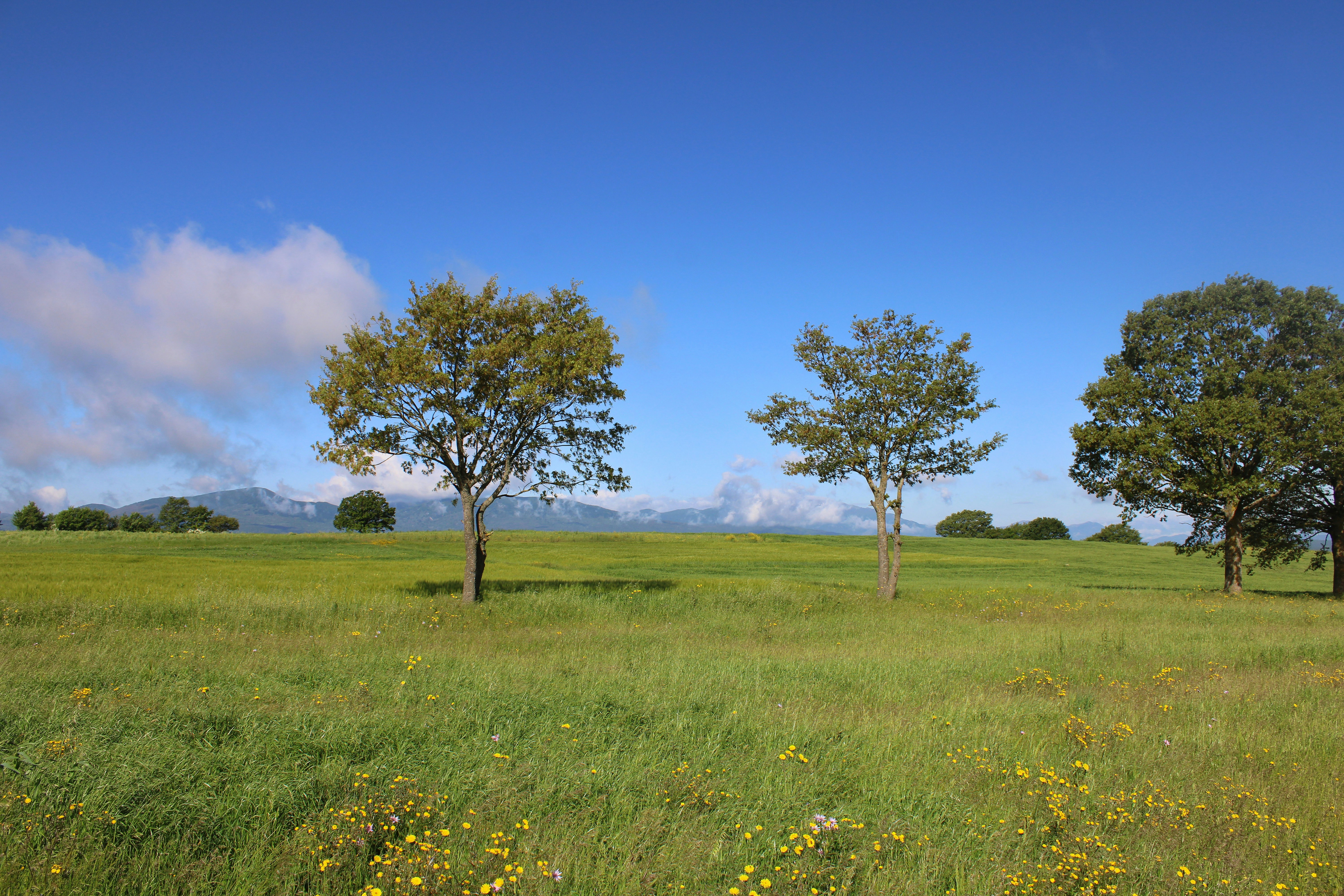 Photo by gabrieleromanoy