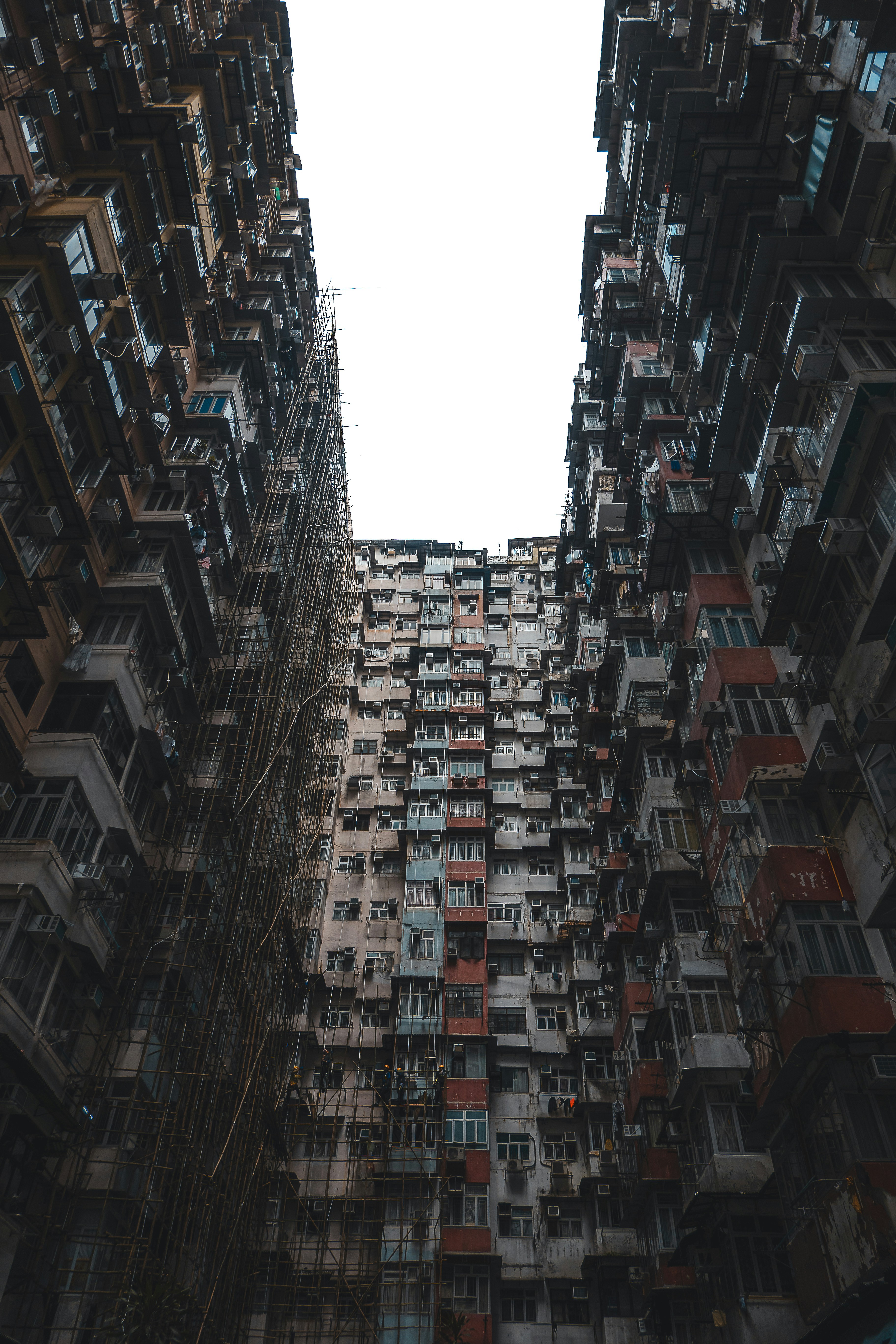 Photo by willianjusten