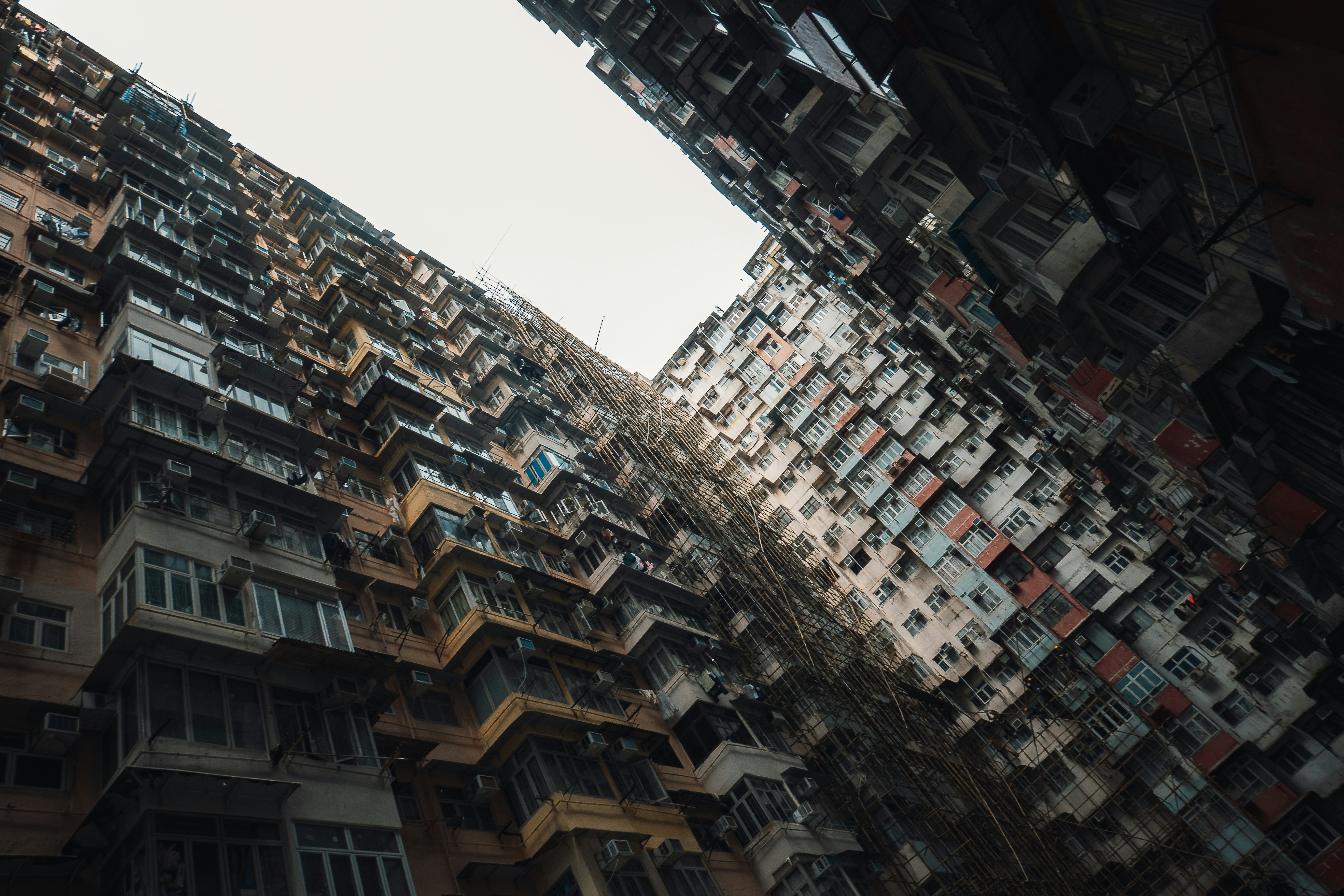 Photo by willianjusten