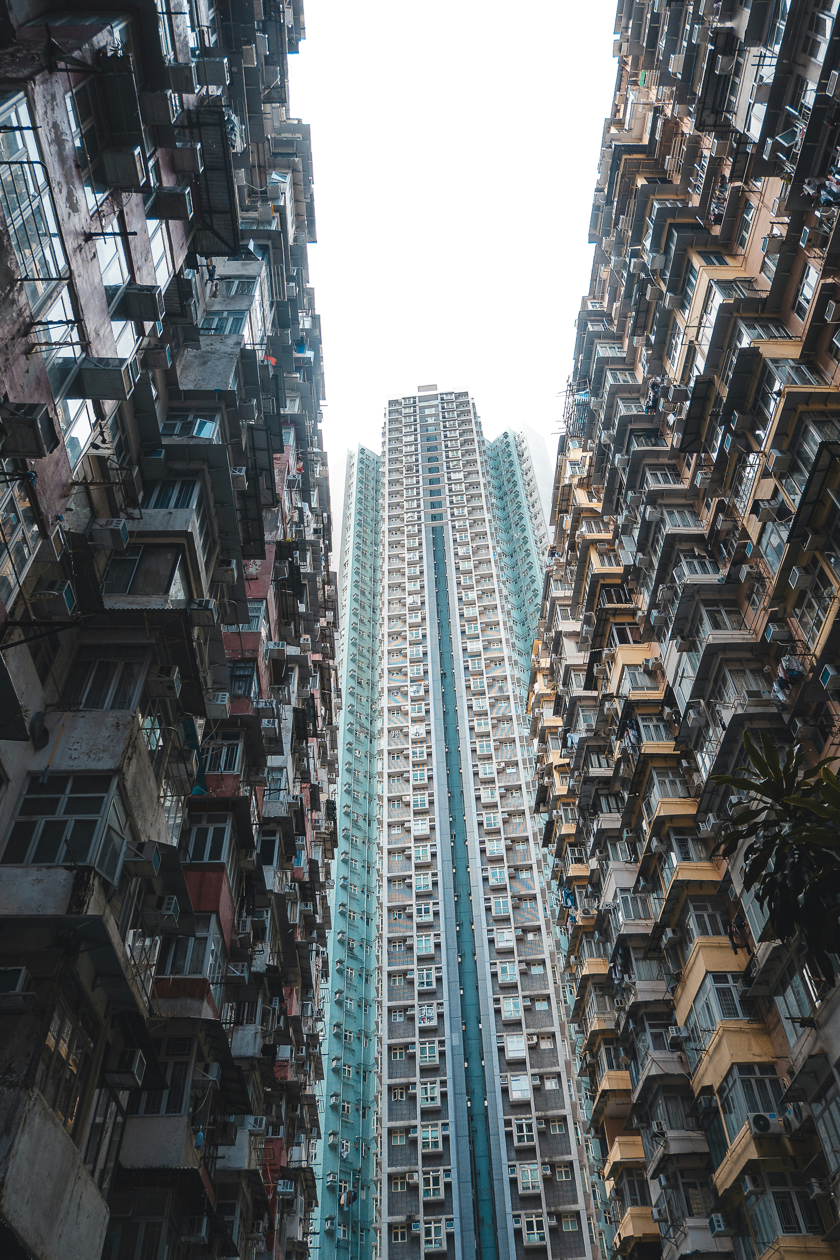 Photo by willianjusten