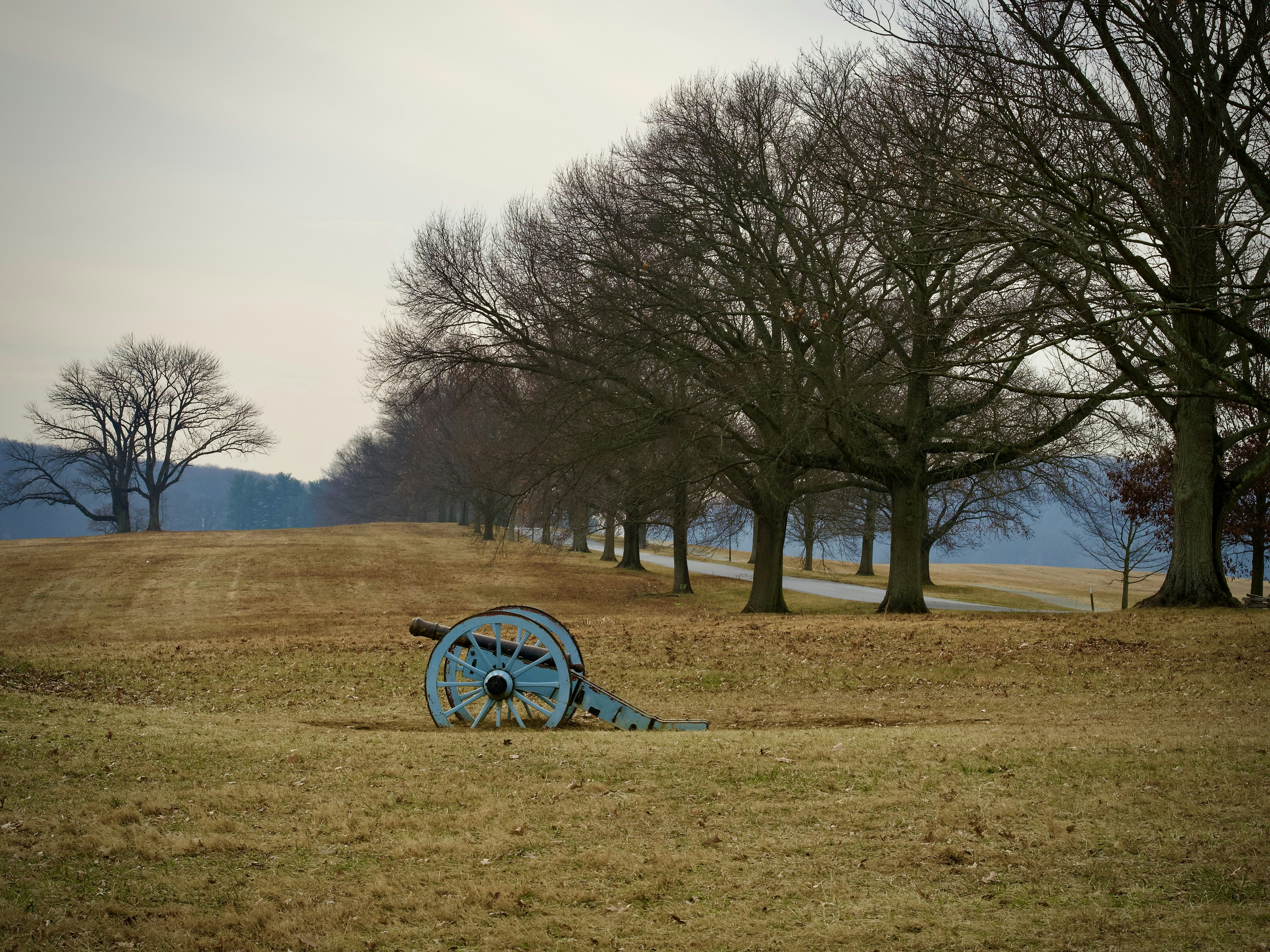 An old cannon rests on a dry field under trees.