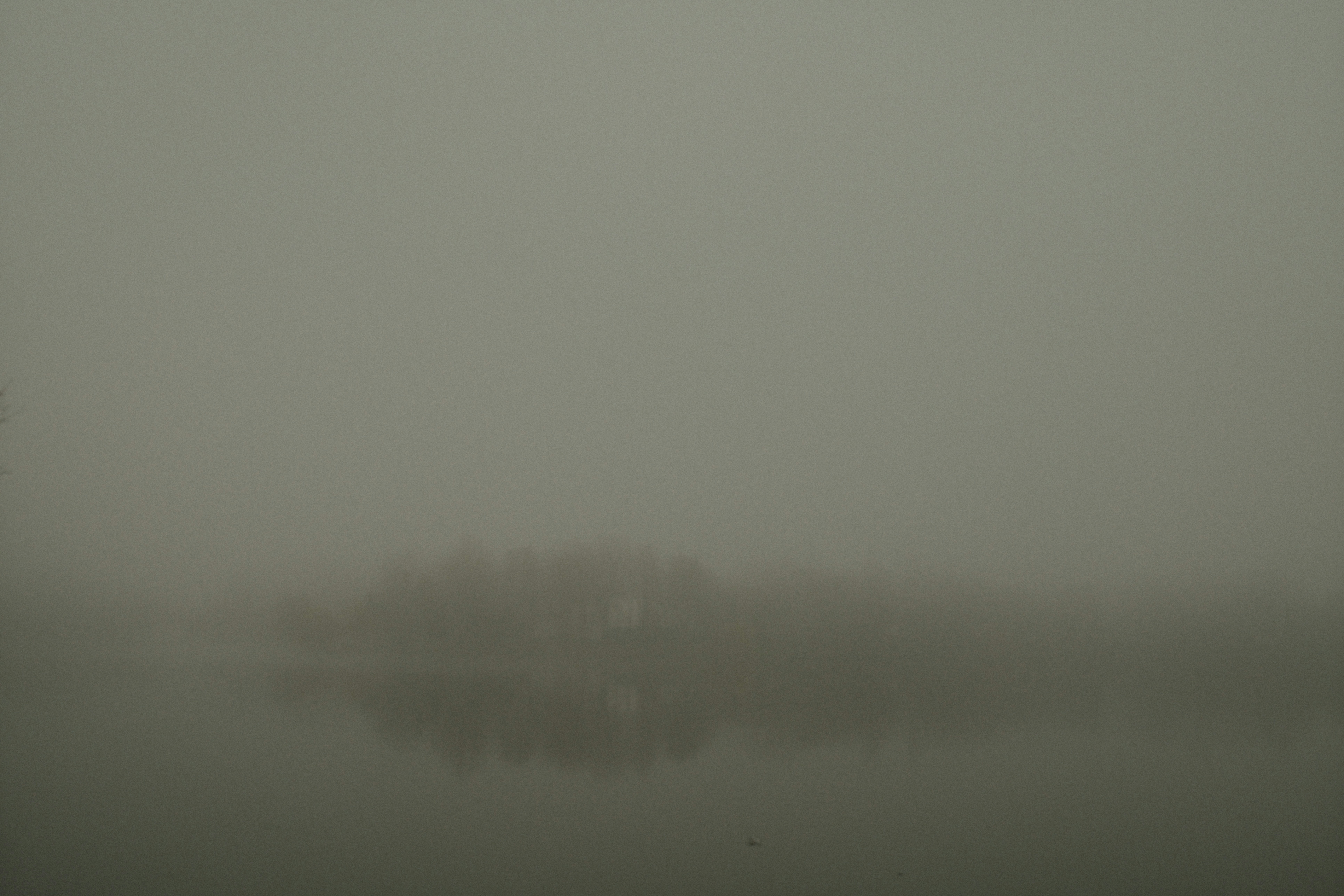 Photo by timothyblack