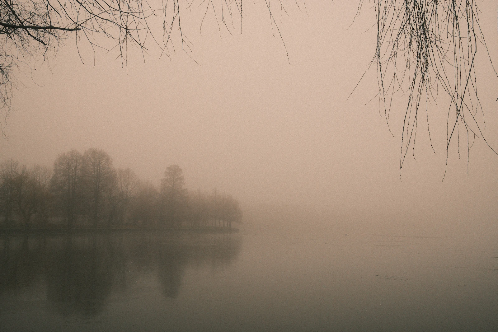 A misty lake with trees faintly reflected in the still water, representing the haze of fibromyalgia brain fog