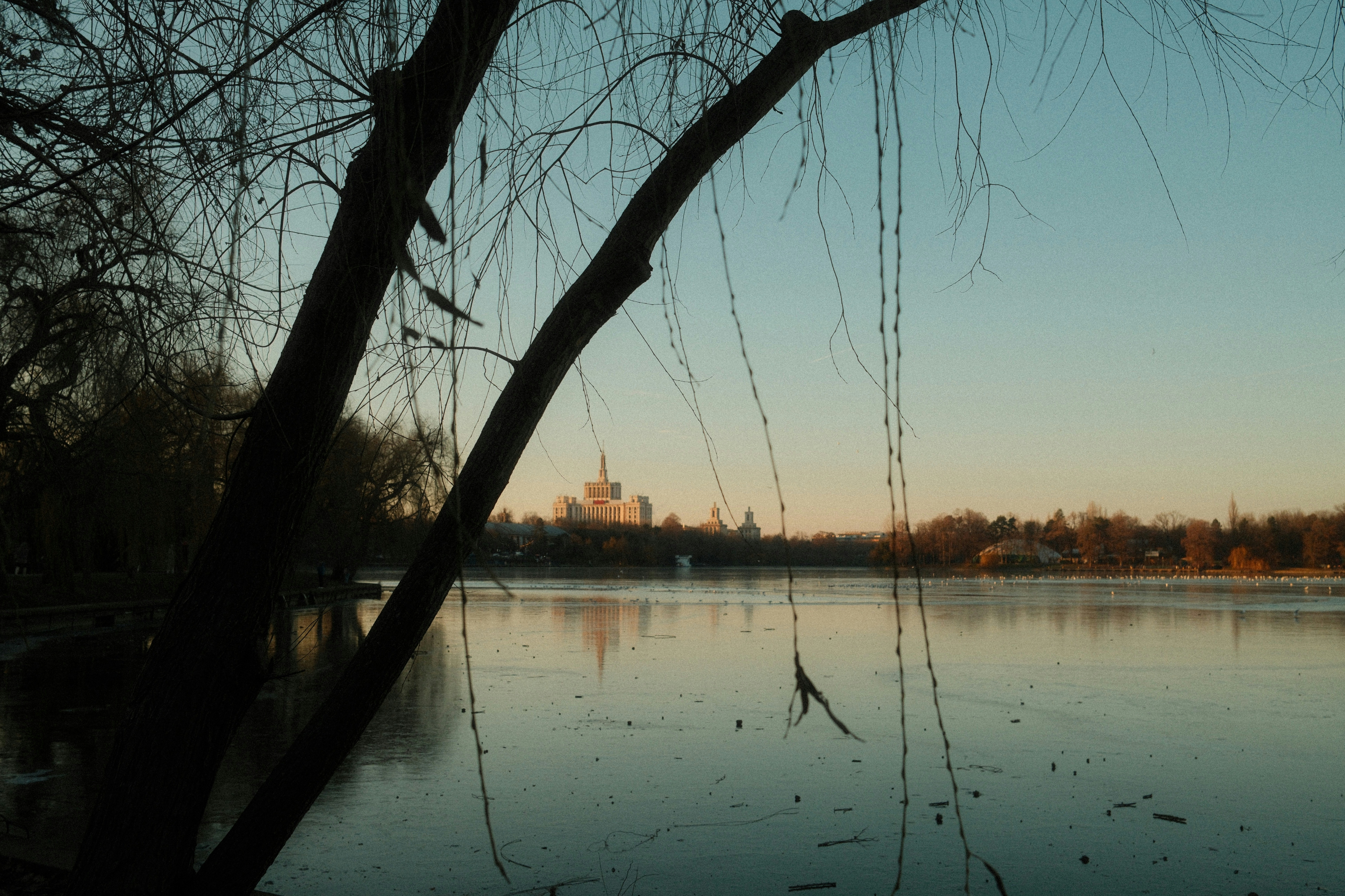 Photo by timothyblack