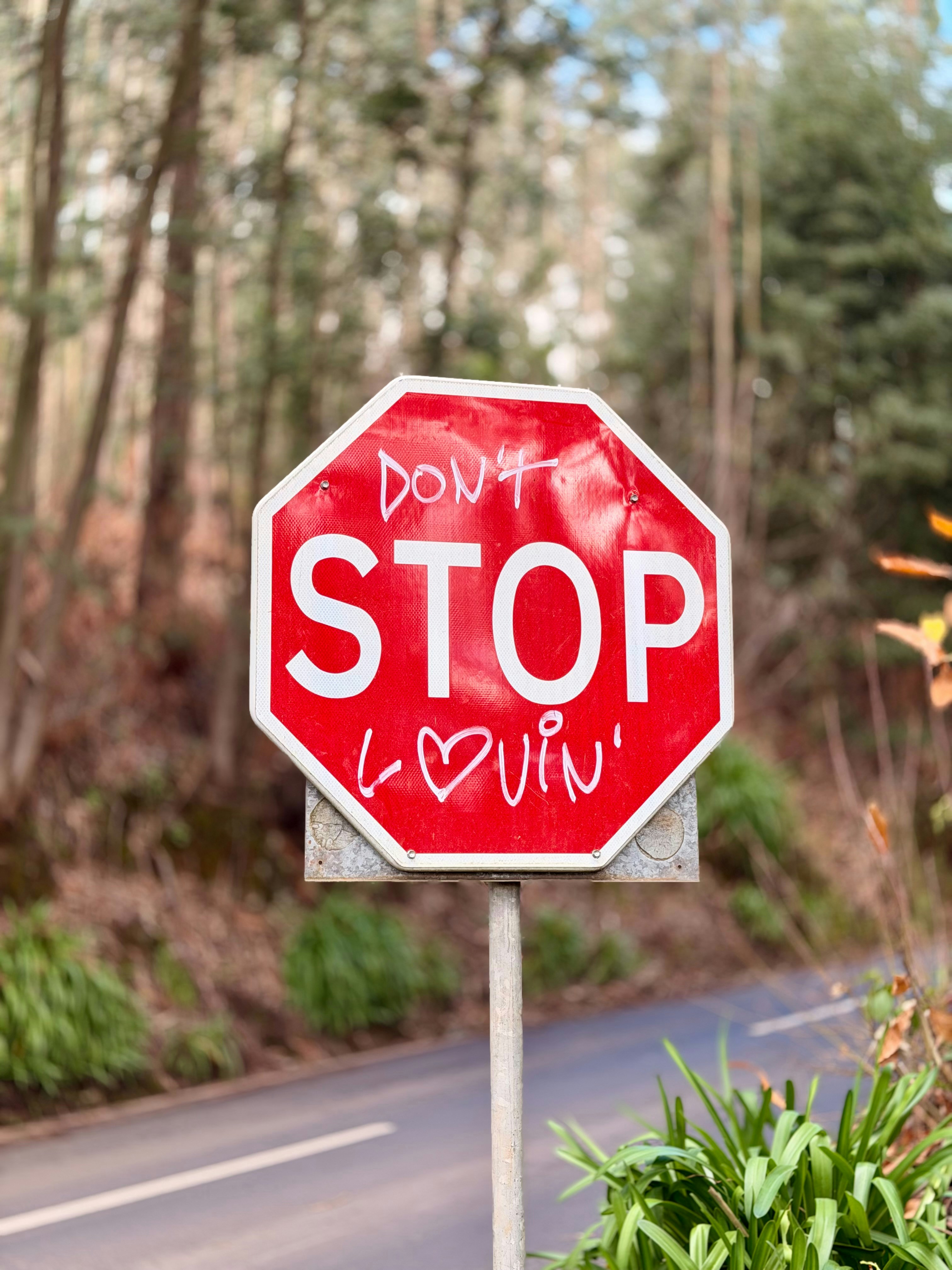 Photo by flohkeitgen