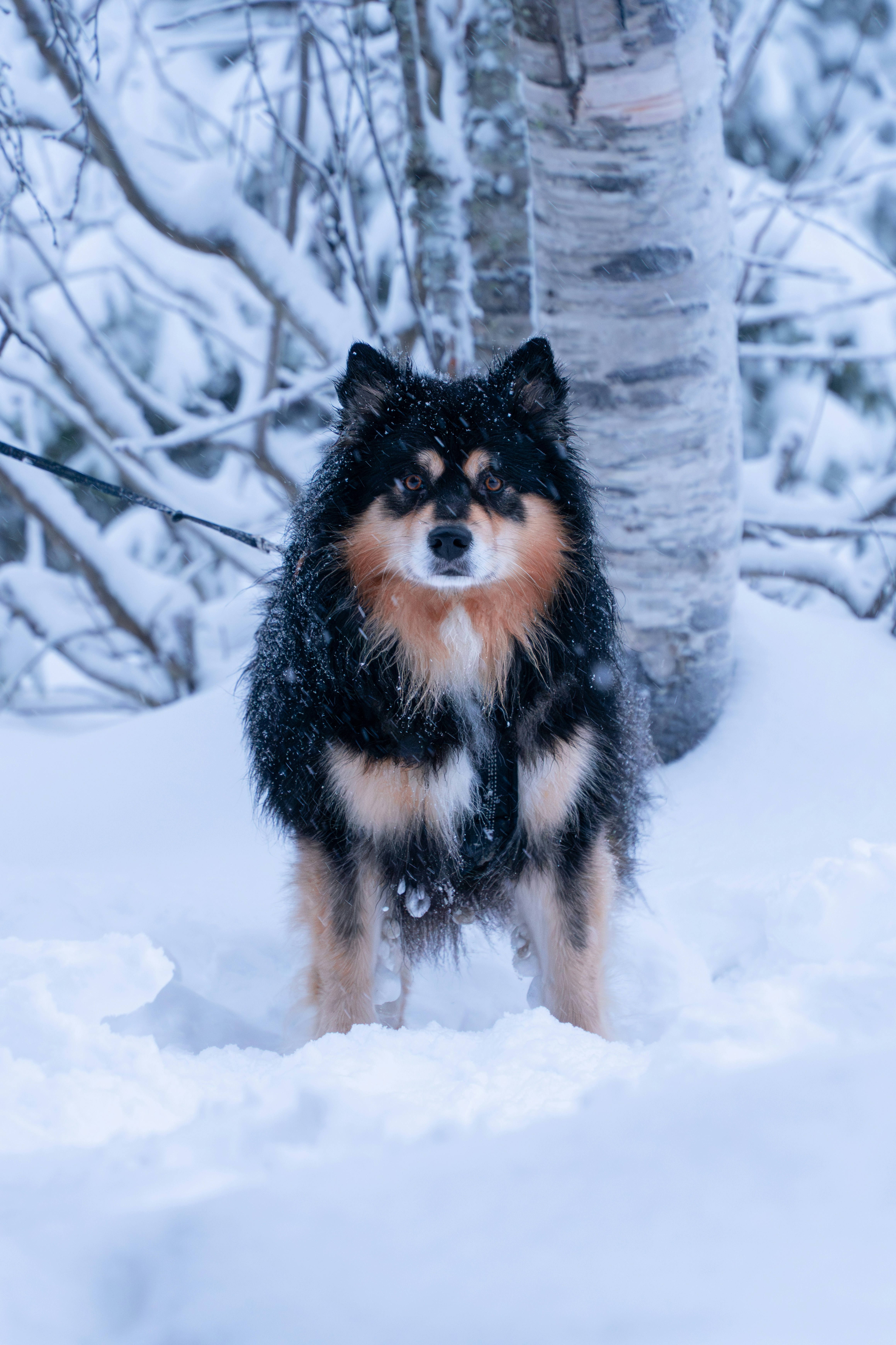 Photo by skyhung1228