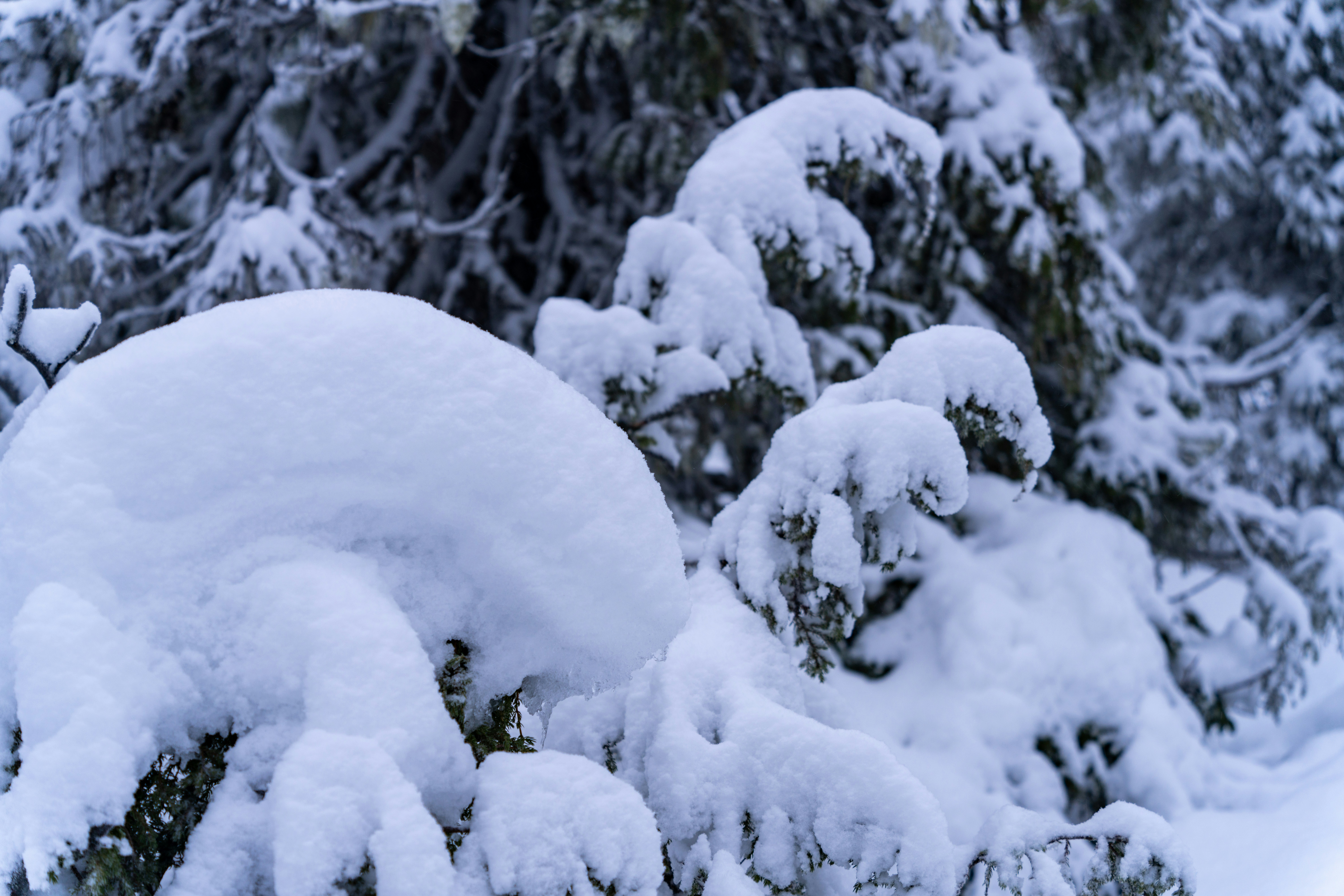 Photo by skyhung1228