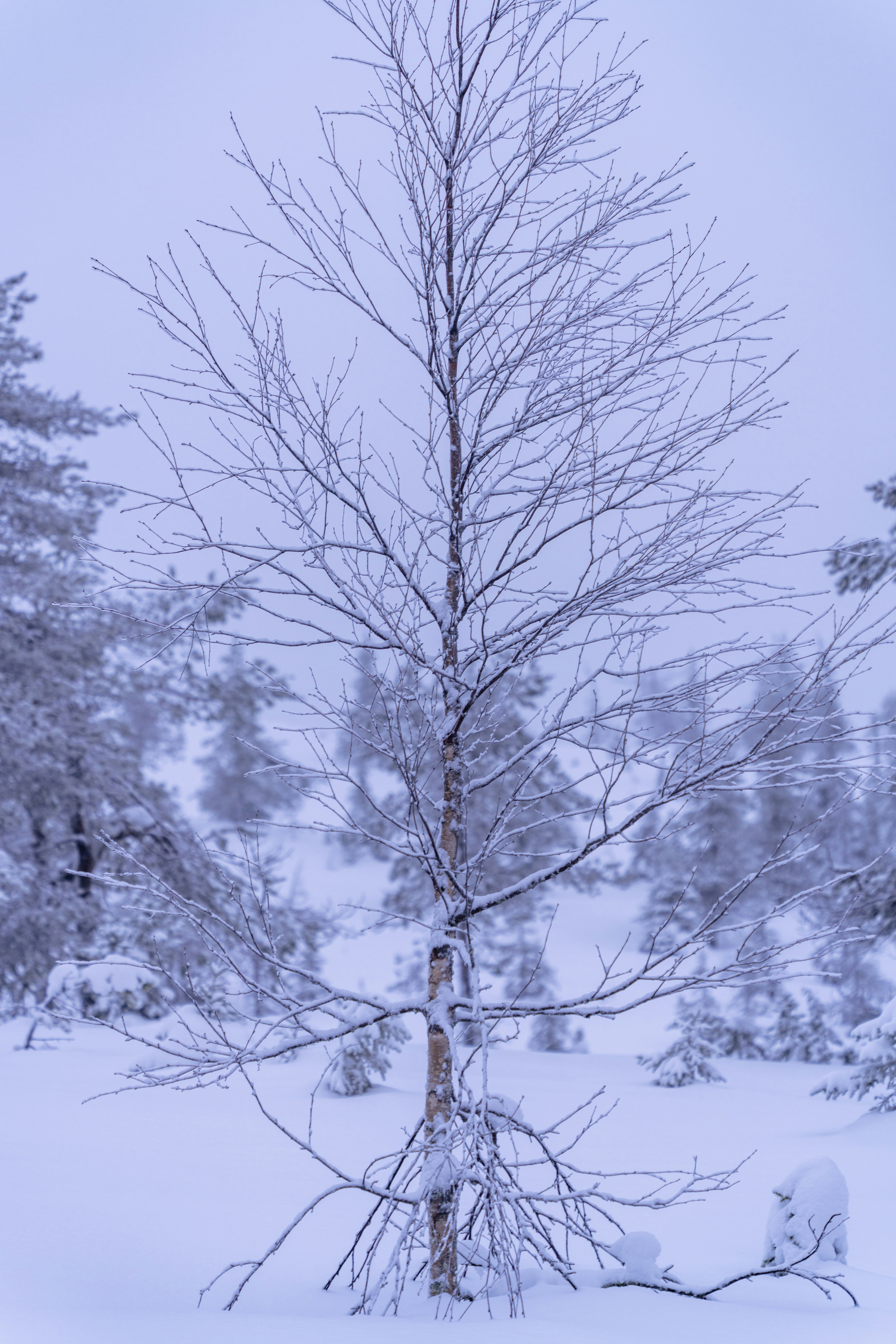 Photo by skyhung1228