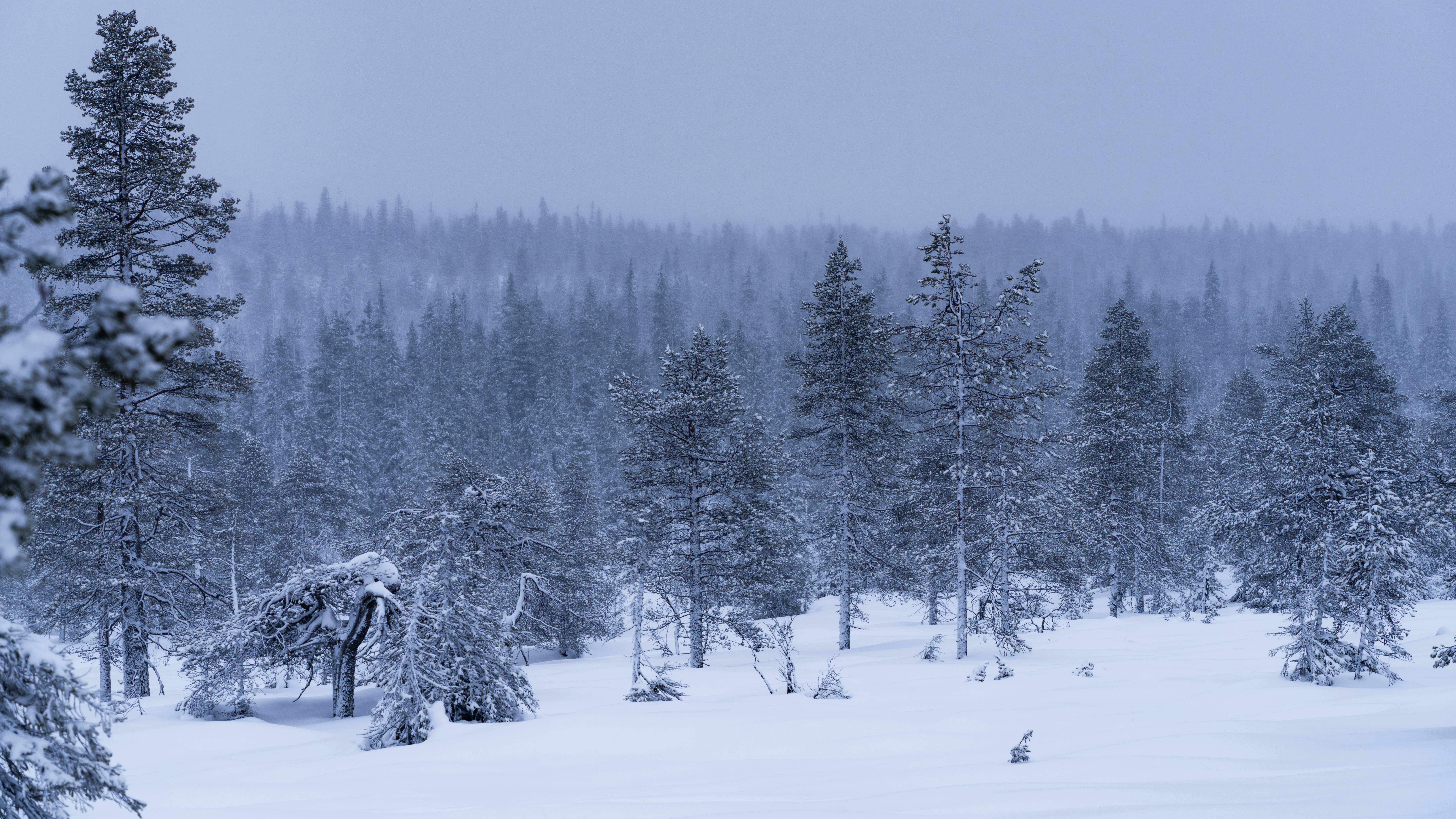 KEM destination photo