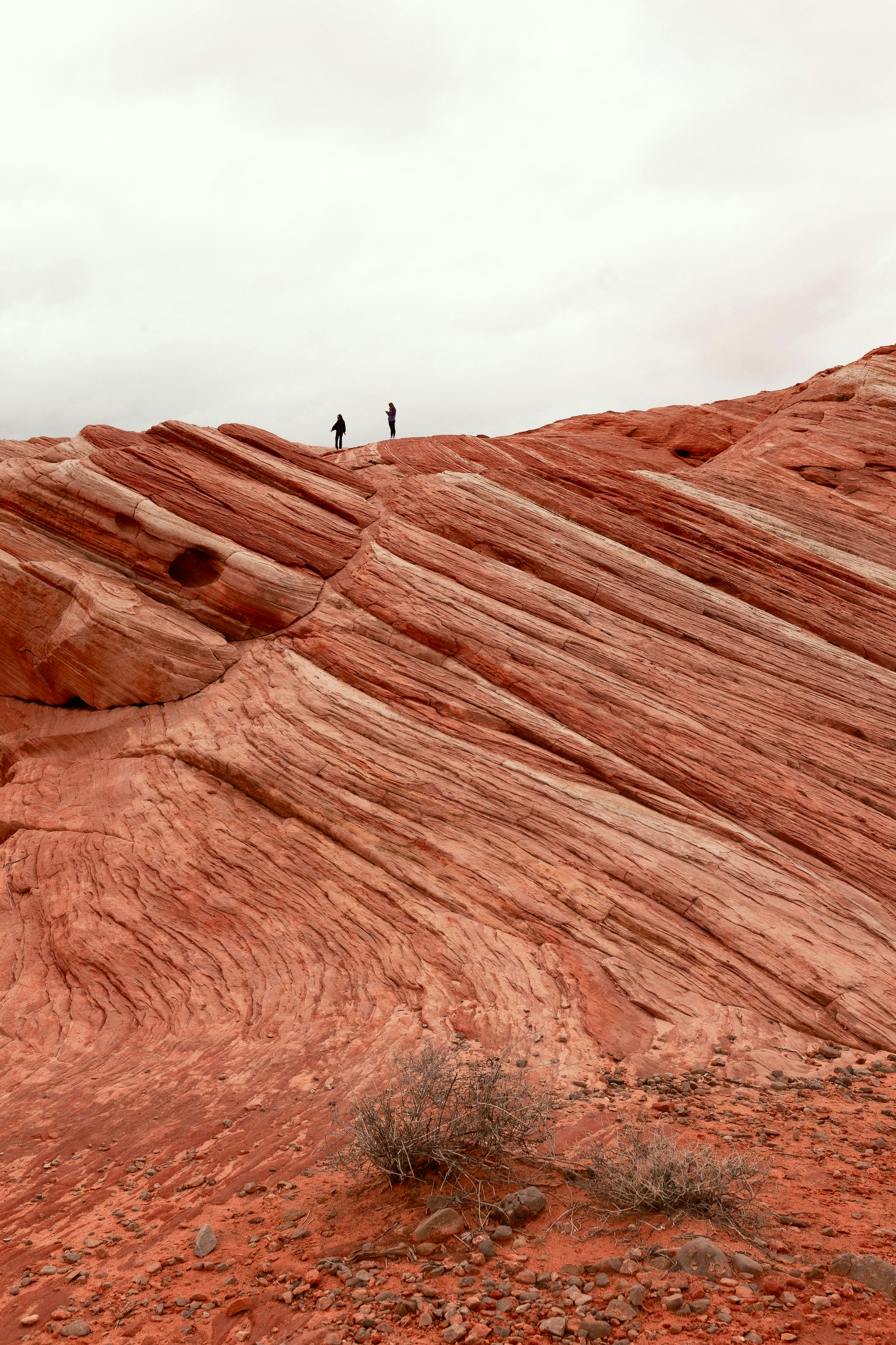 Photo by capturedbyjavi