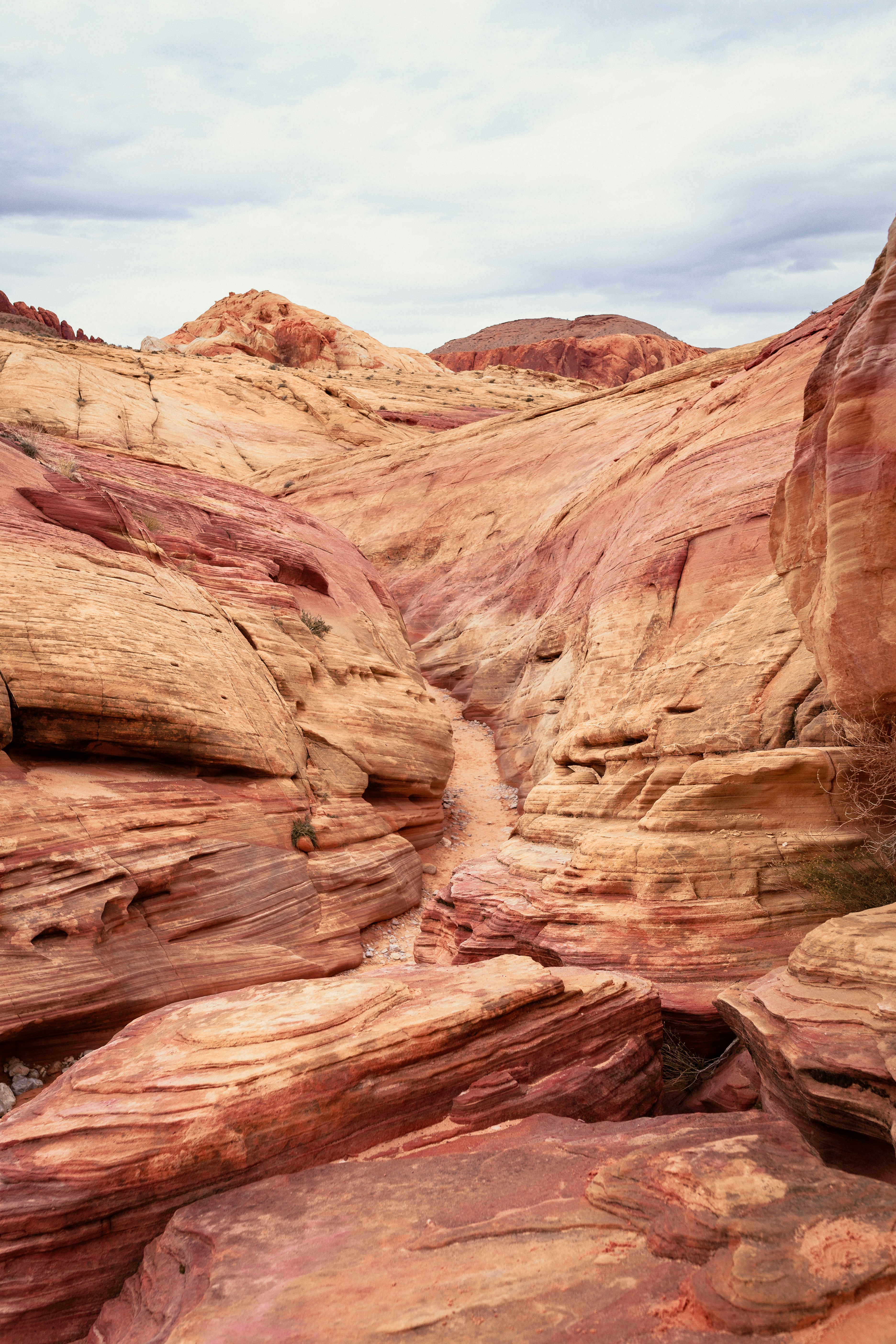 Photo by capturedbyjavi