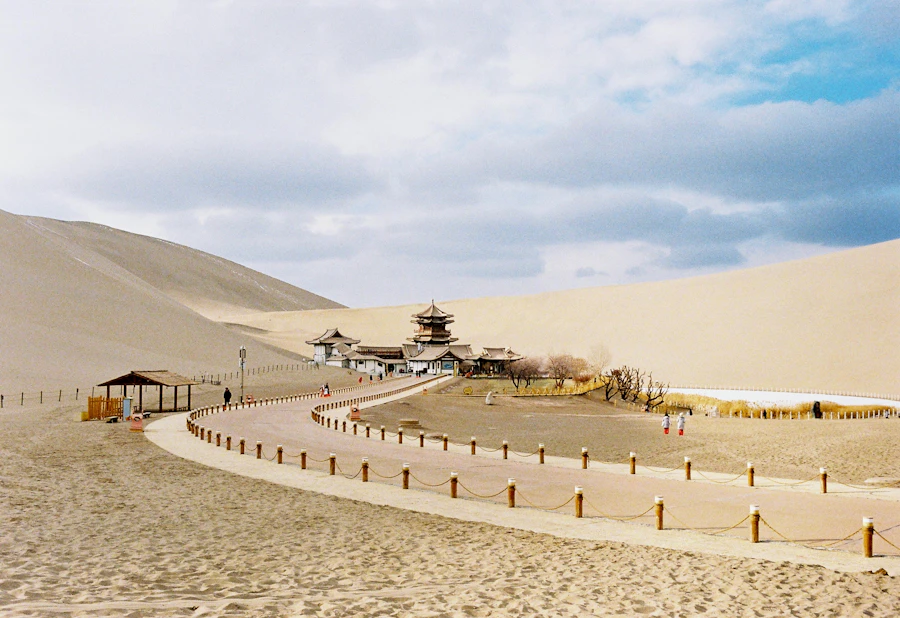 Silk Road desert oasis