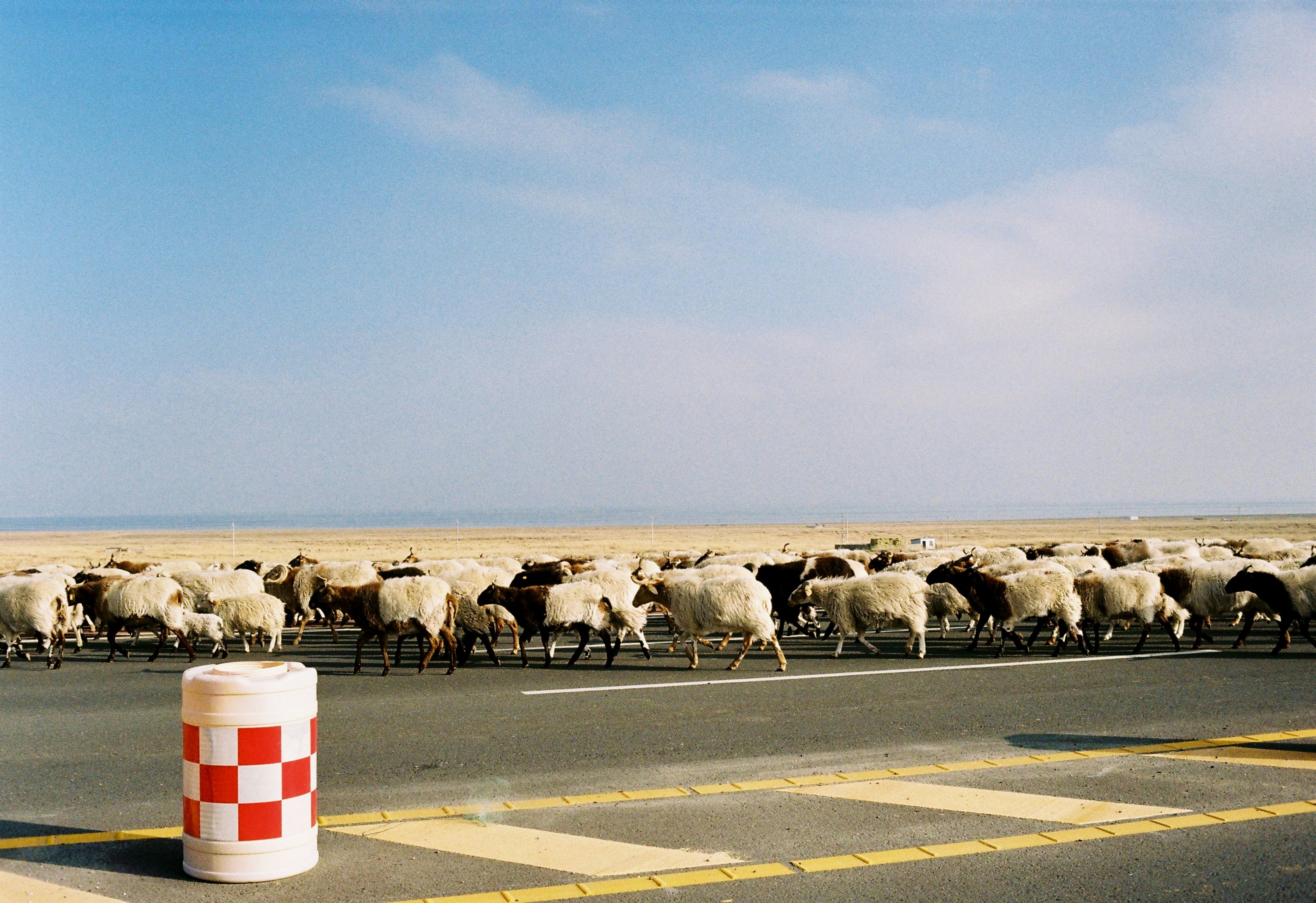 Studio photo with exposure correction and color balance