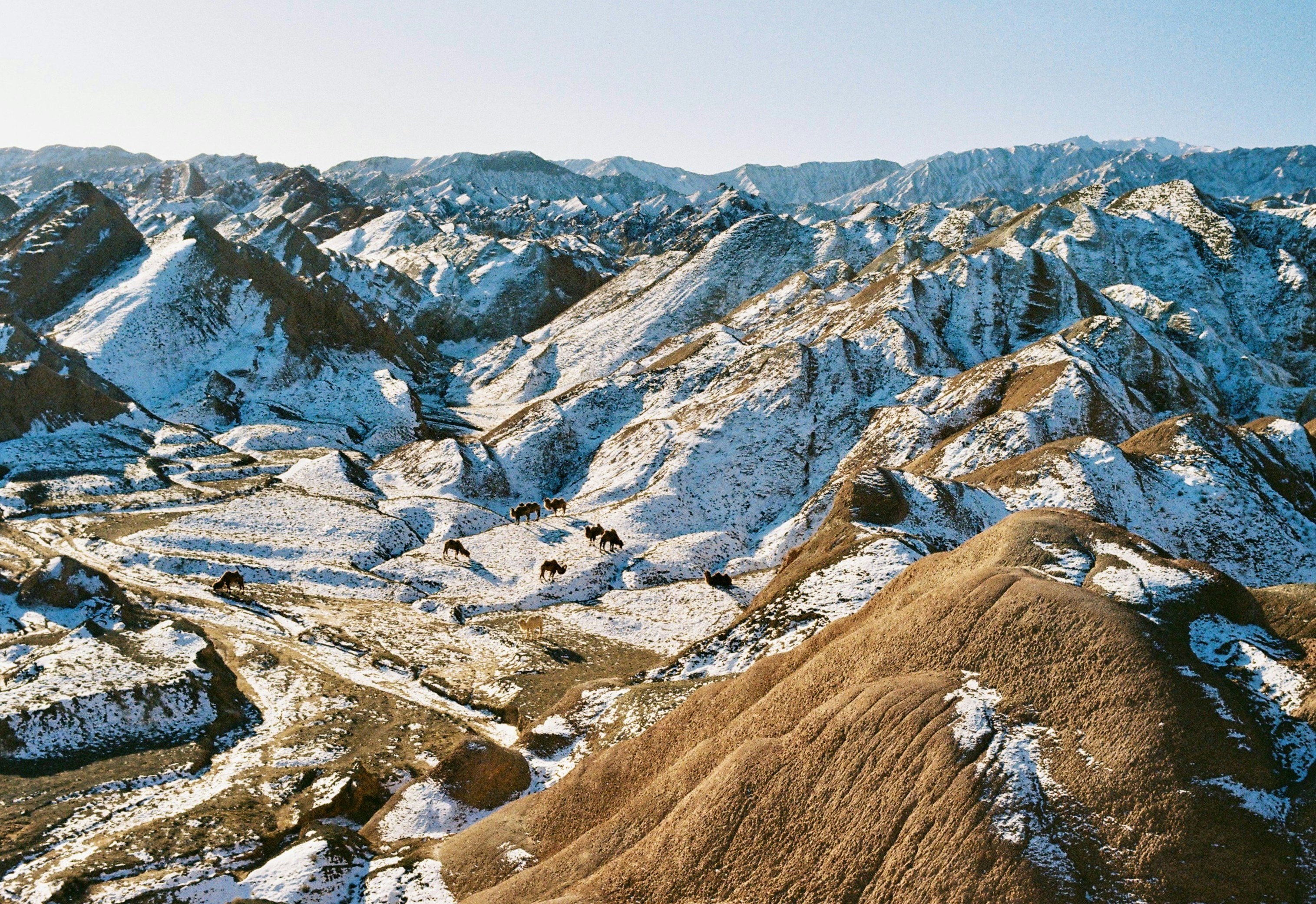 Photo by lwllwwlllwww