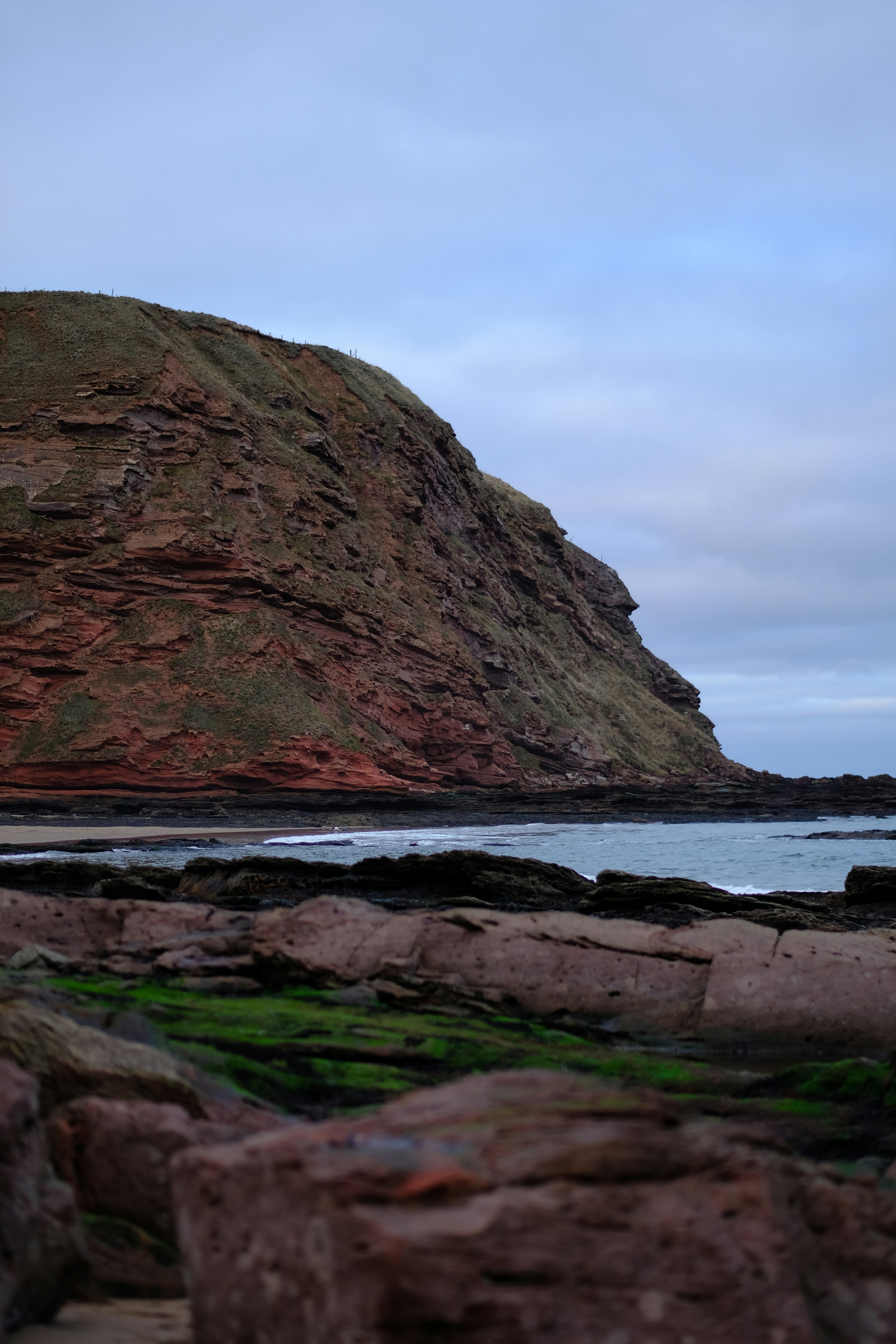 Rocky coastline with green moss and distant cliff.