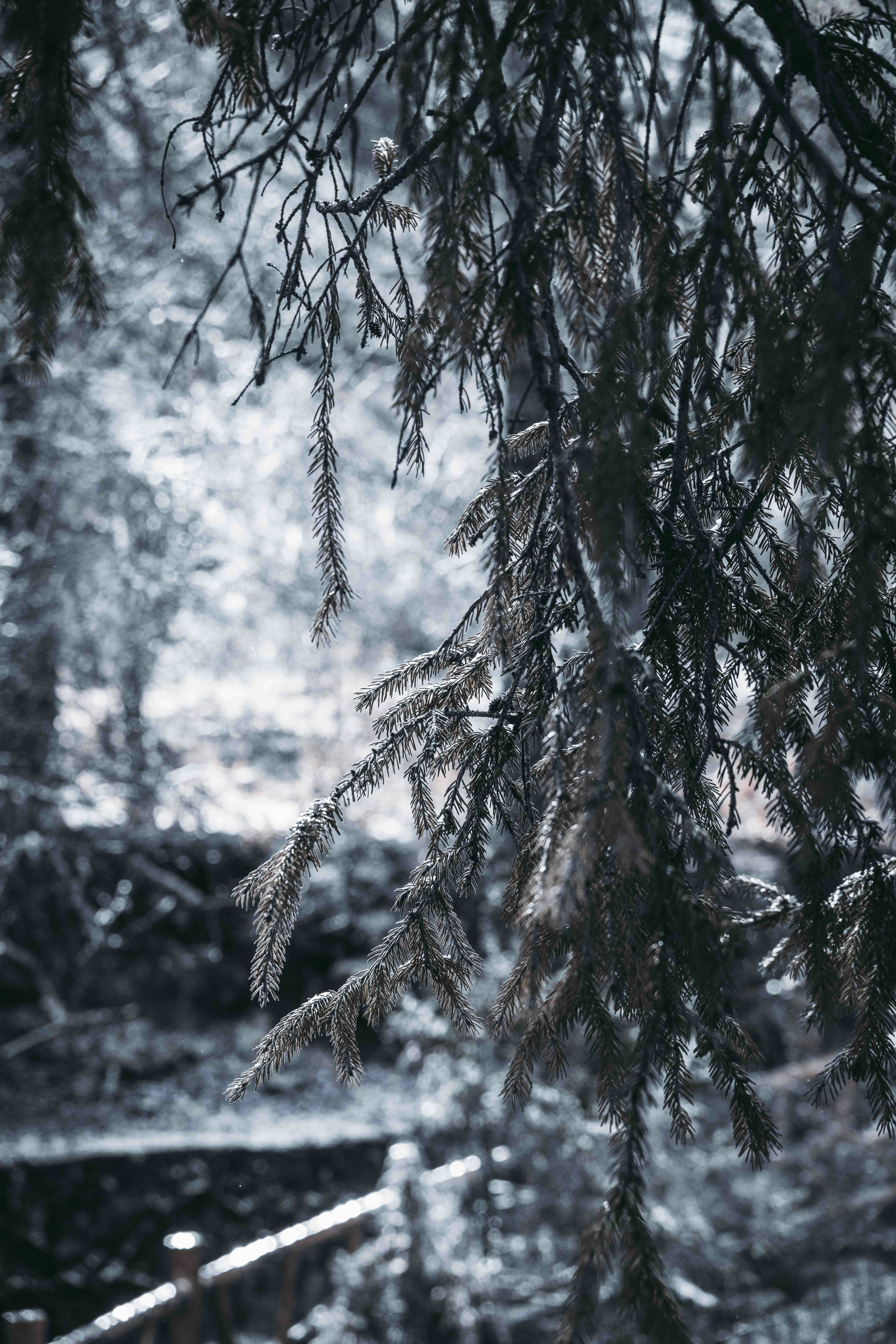 Photo by jw363621440